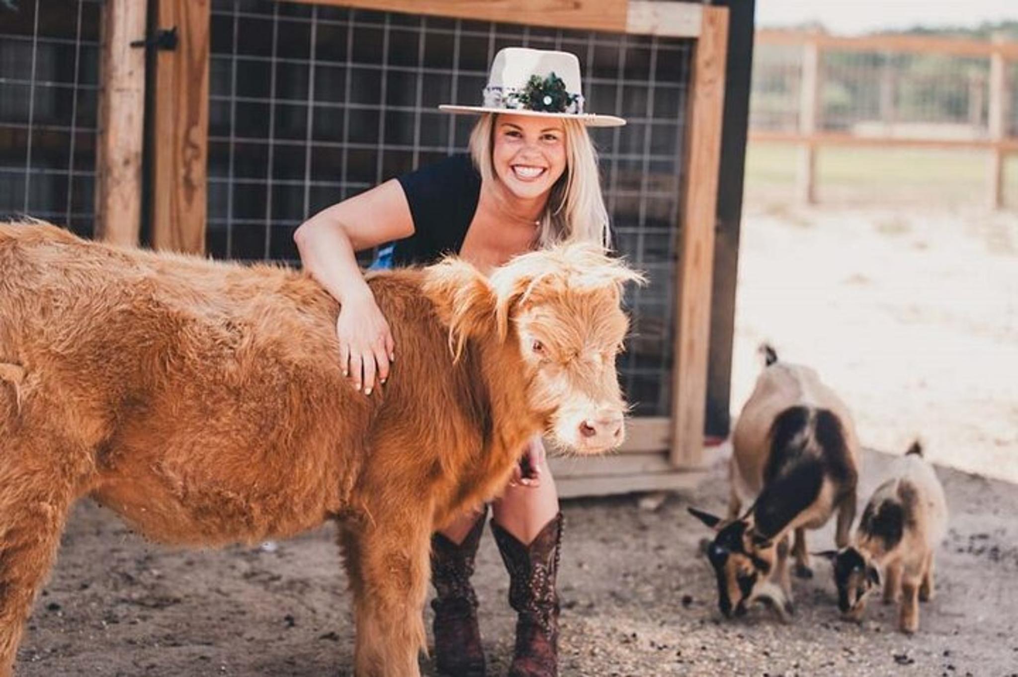 Fredericksburg Wine and Culinary Tour - Image 3