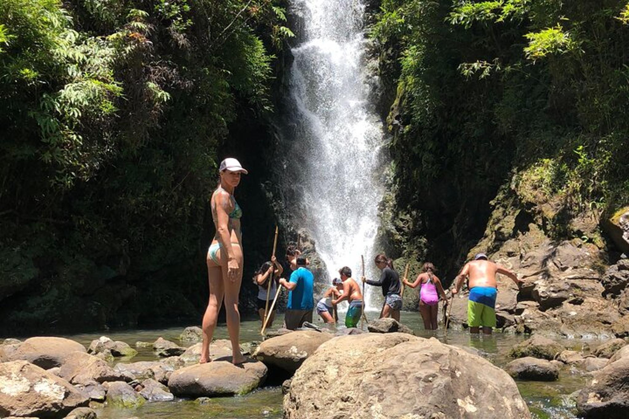 Hana Waterfall Tour - Image 5