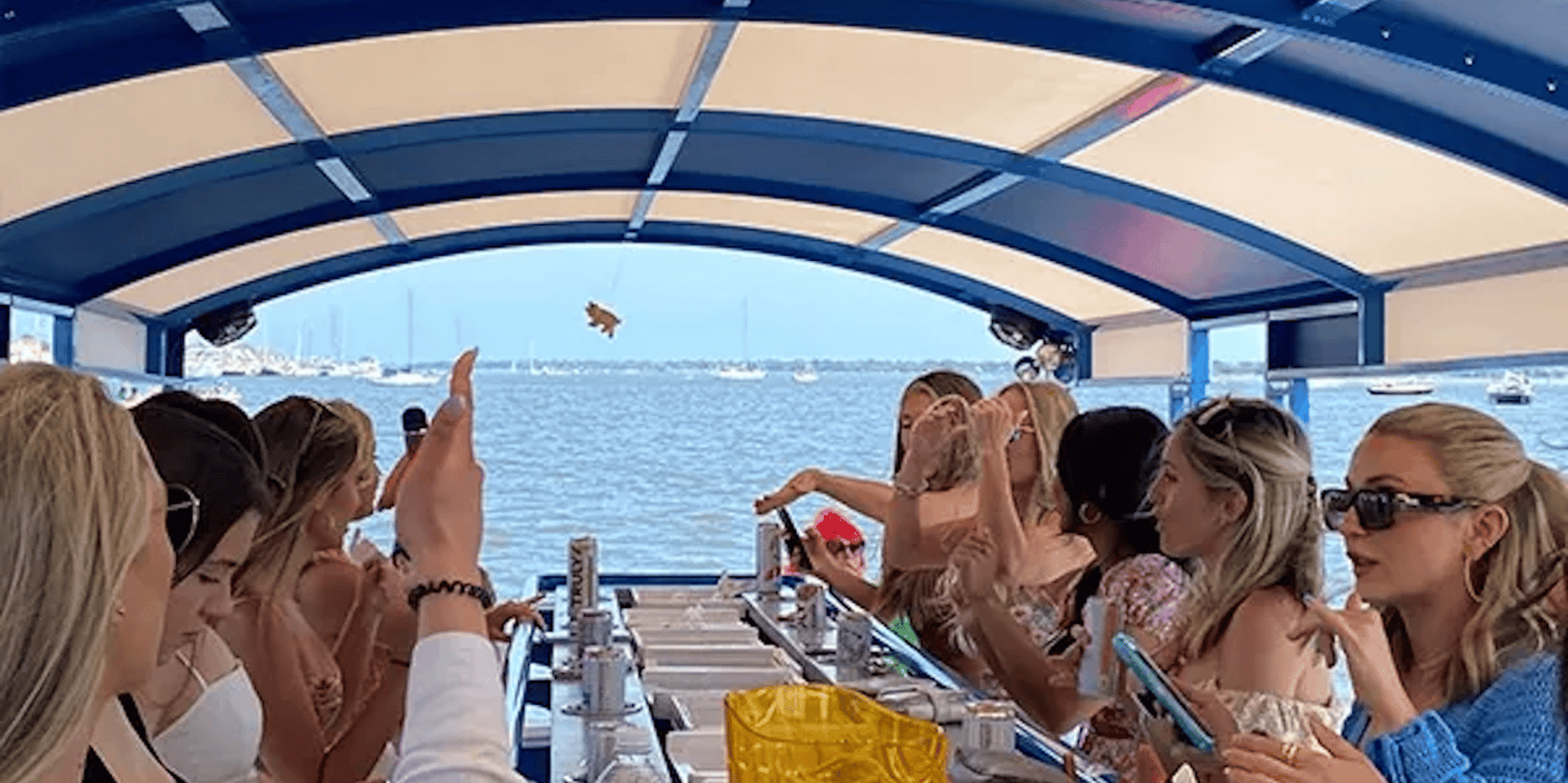 Charleston Harbor Pedal Boat Party Cruise - Image 2