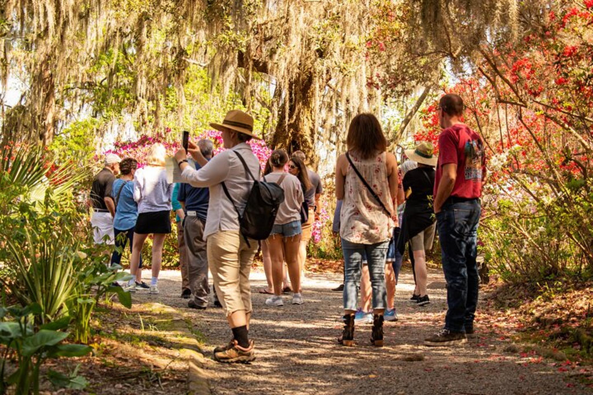 Charleston Plantation and City Bus Tour