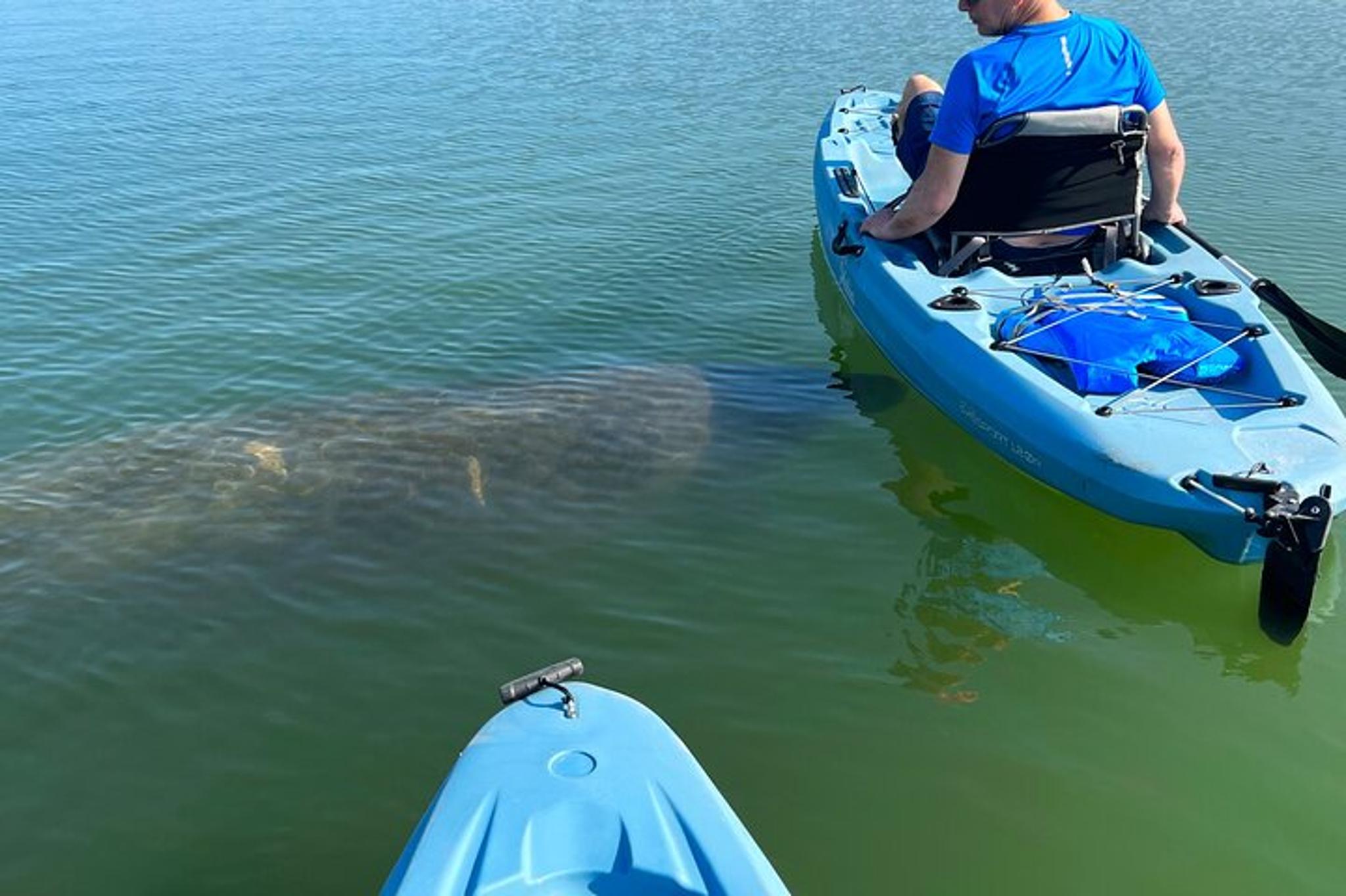 Bonita Springs Kayak EcoTour - Image 2