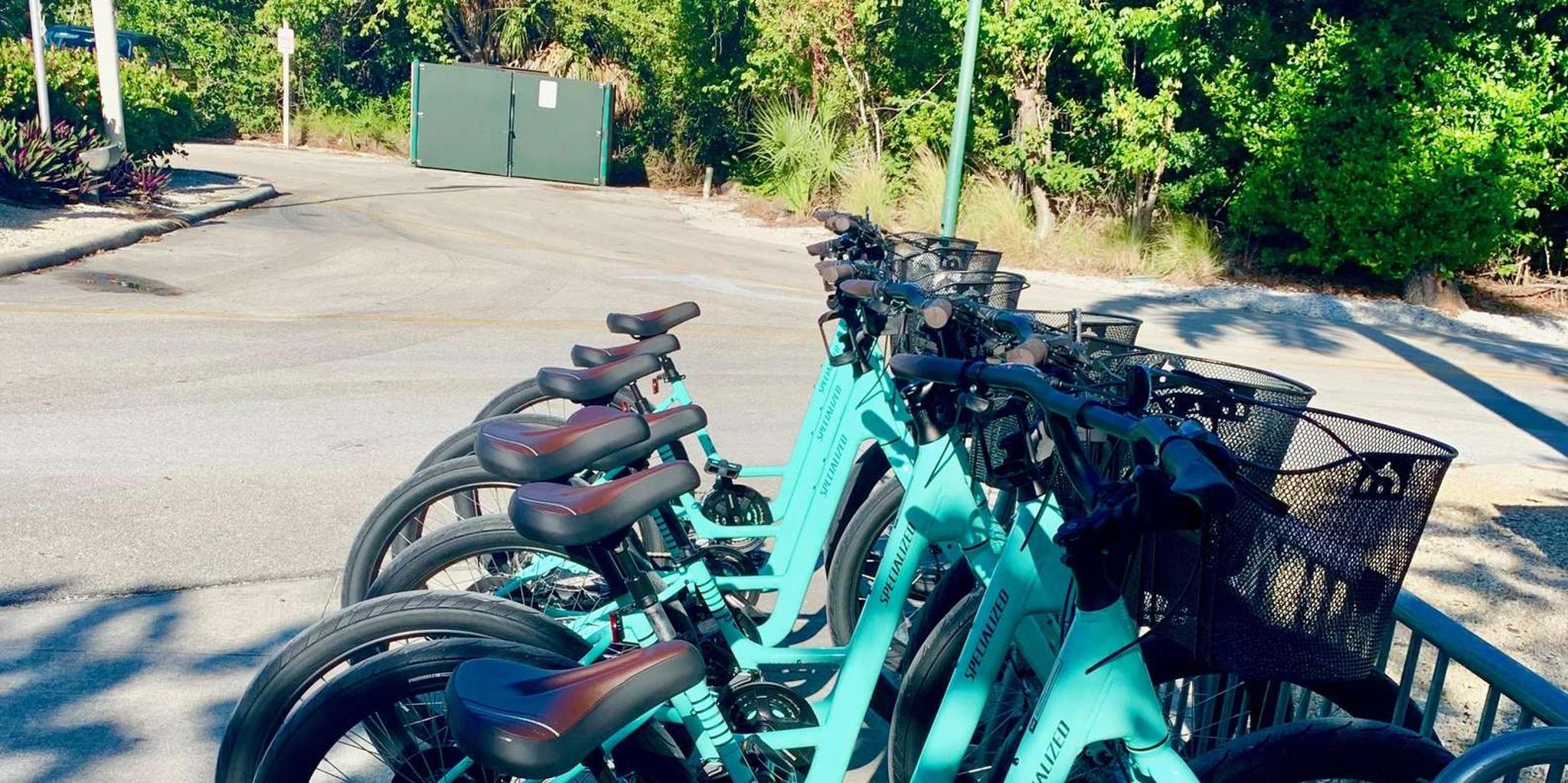 Naples Electric Trike and Bike Tour - Image 2