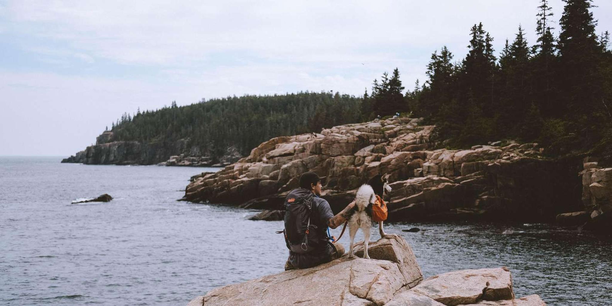 Acadia Private Bike & Hike Tour - Image 2