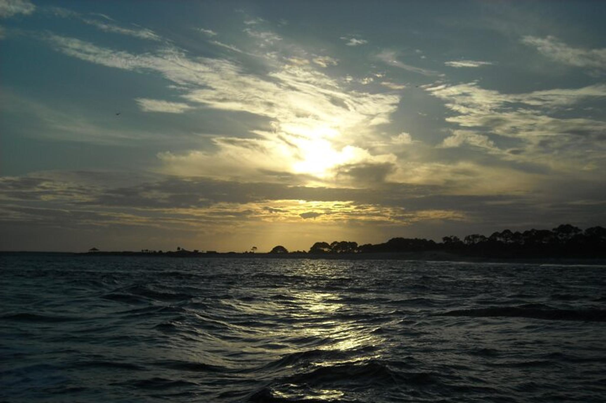 Panama City Dolphin and Snorkeling Tour - Image 5