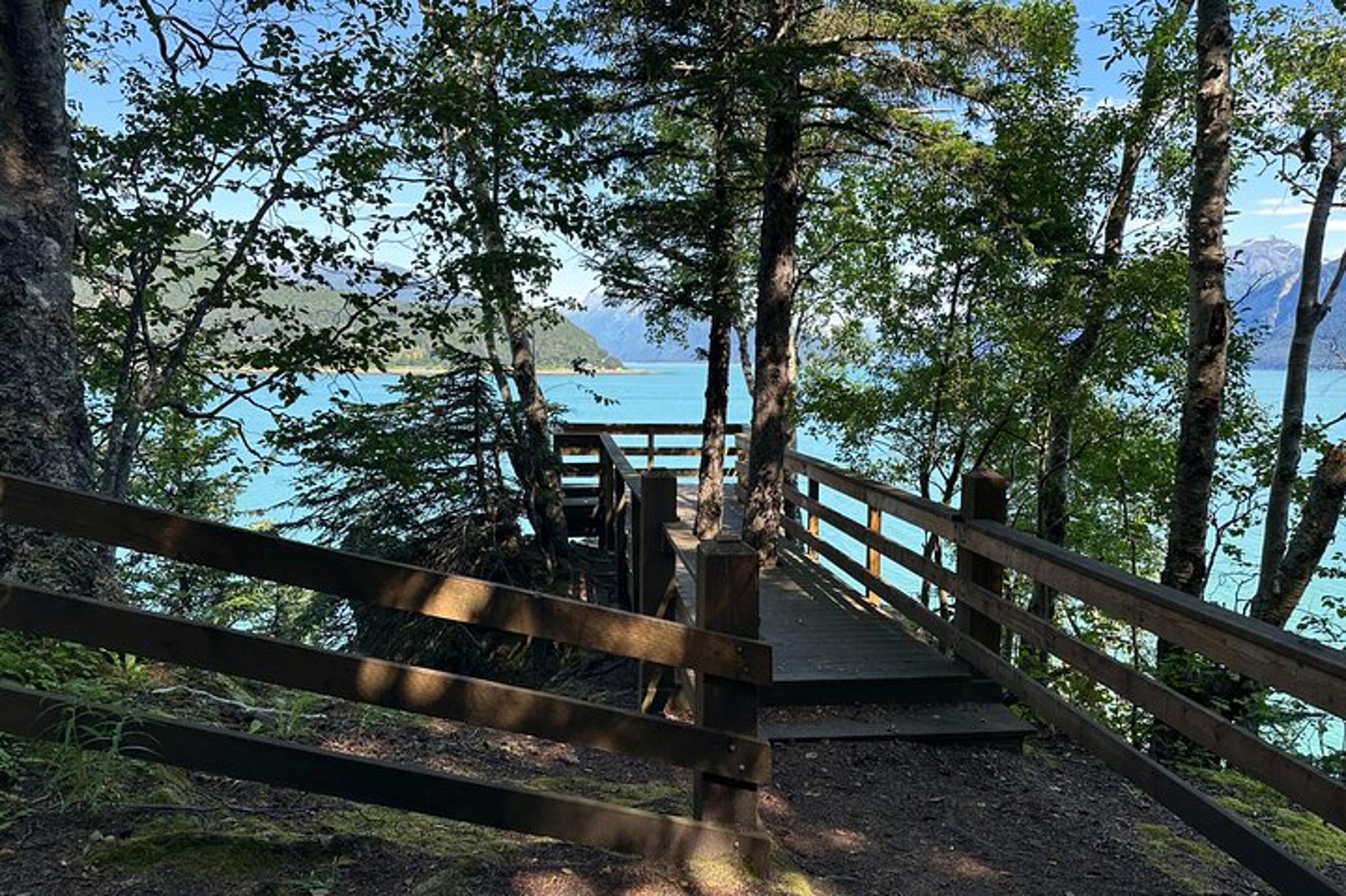 Haines Forest Therapy Tour - Image 2