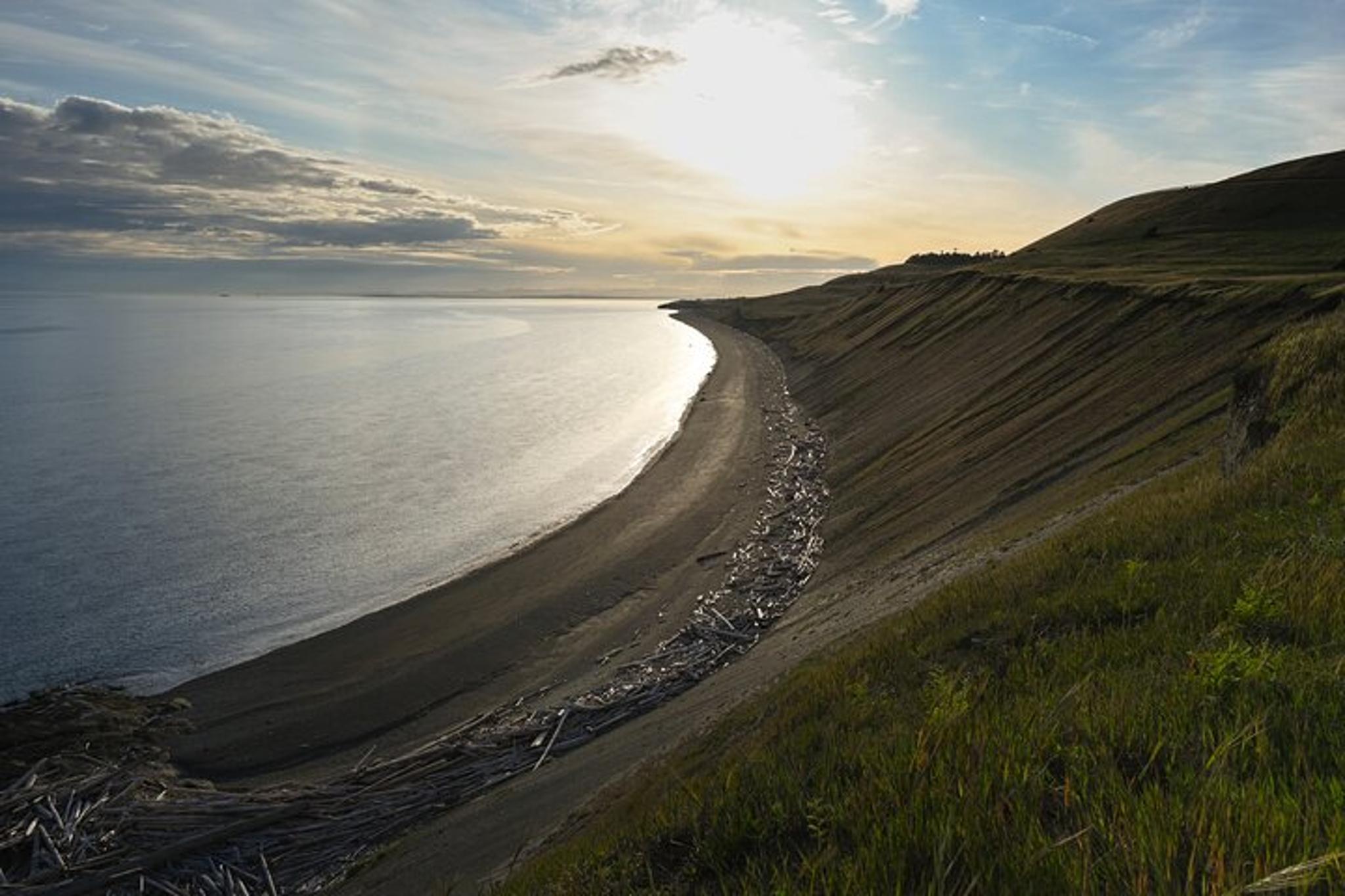 San Juan Islands Wildlife and Coast Tour - Image 3