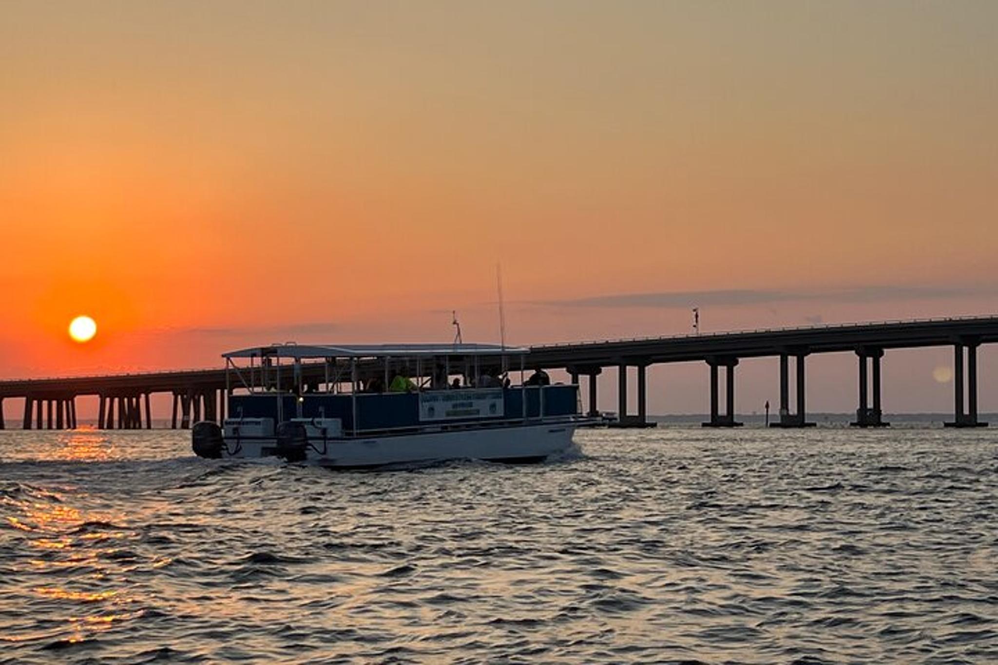 Destin Dolphin Cruise at Sunset 2 hr - Image 3