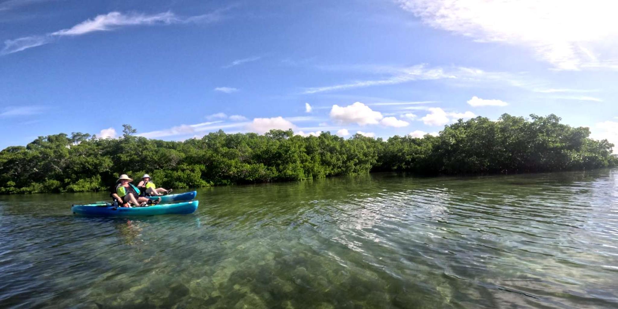 Anna Maria Pedal Kayak Eco-Tour - Image 5