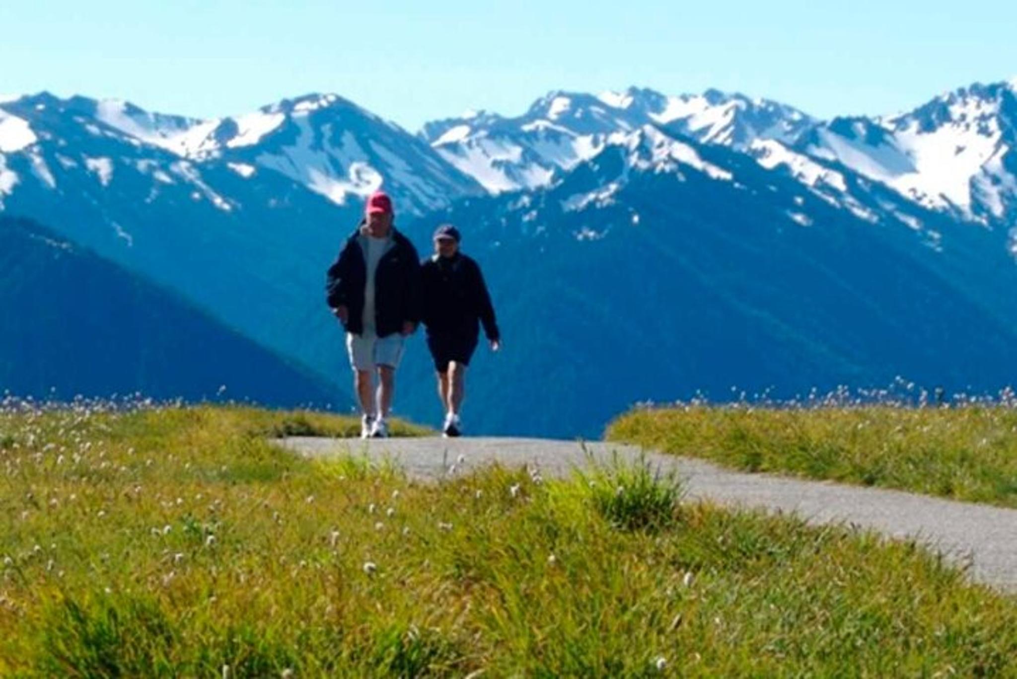 Seattle Olympic National Park Van/Ferry Tour - Image 2
