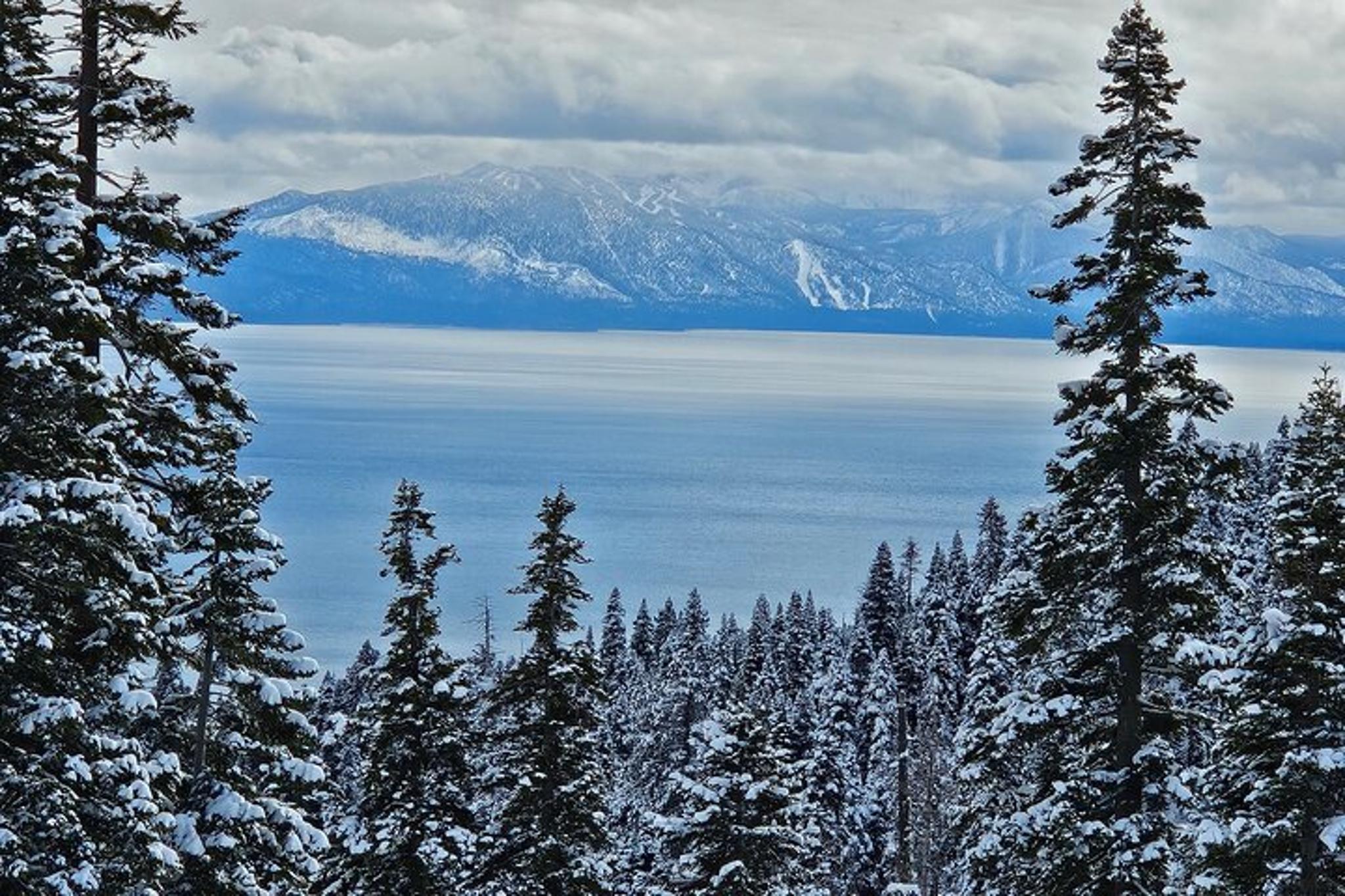 Reno Snowmobiling Adventure in the Sierra - Image 3