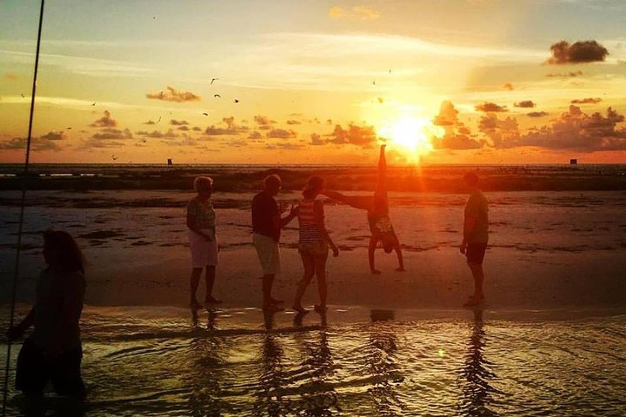 Anna Maria Island Dolphin Boat Tour at Sunset - Image 4