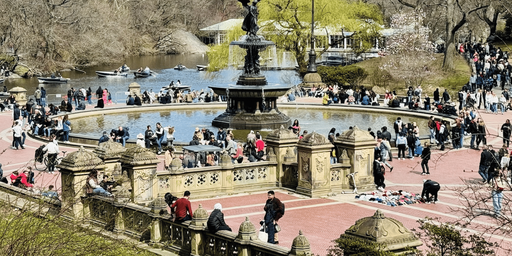 New York Central Park Private Walking Tour - Image 2