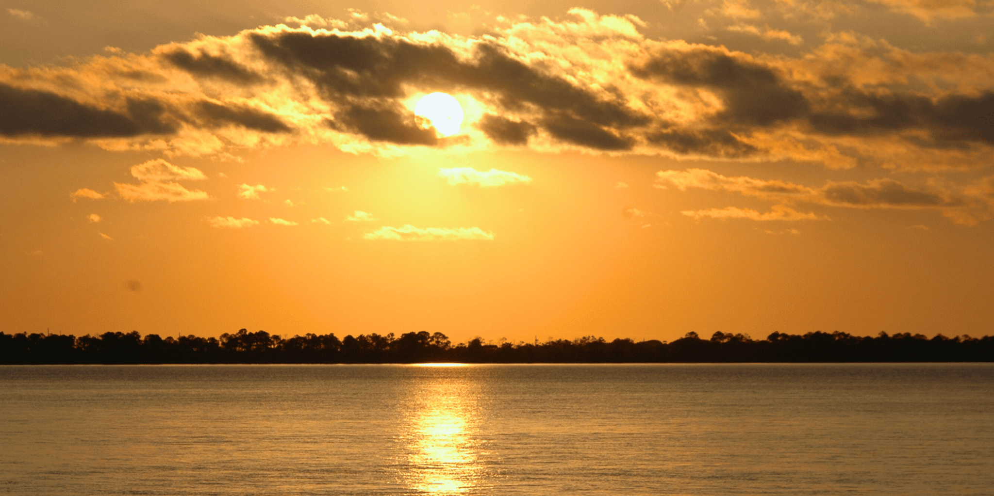 Destin Dolphin Cruise at Sunset - Image 4