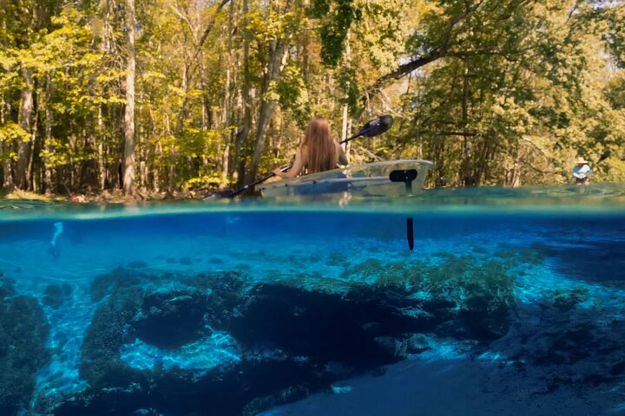 Gilchrist Blue Glass Bottom Kayak Eco Tour 2 hr - Image 5