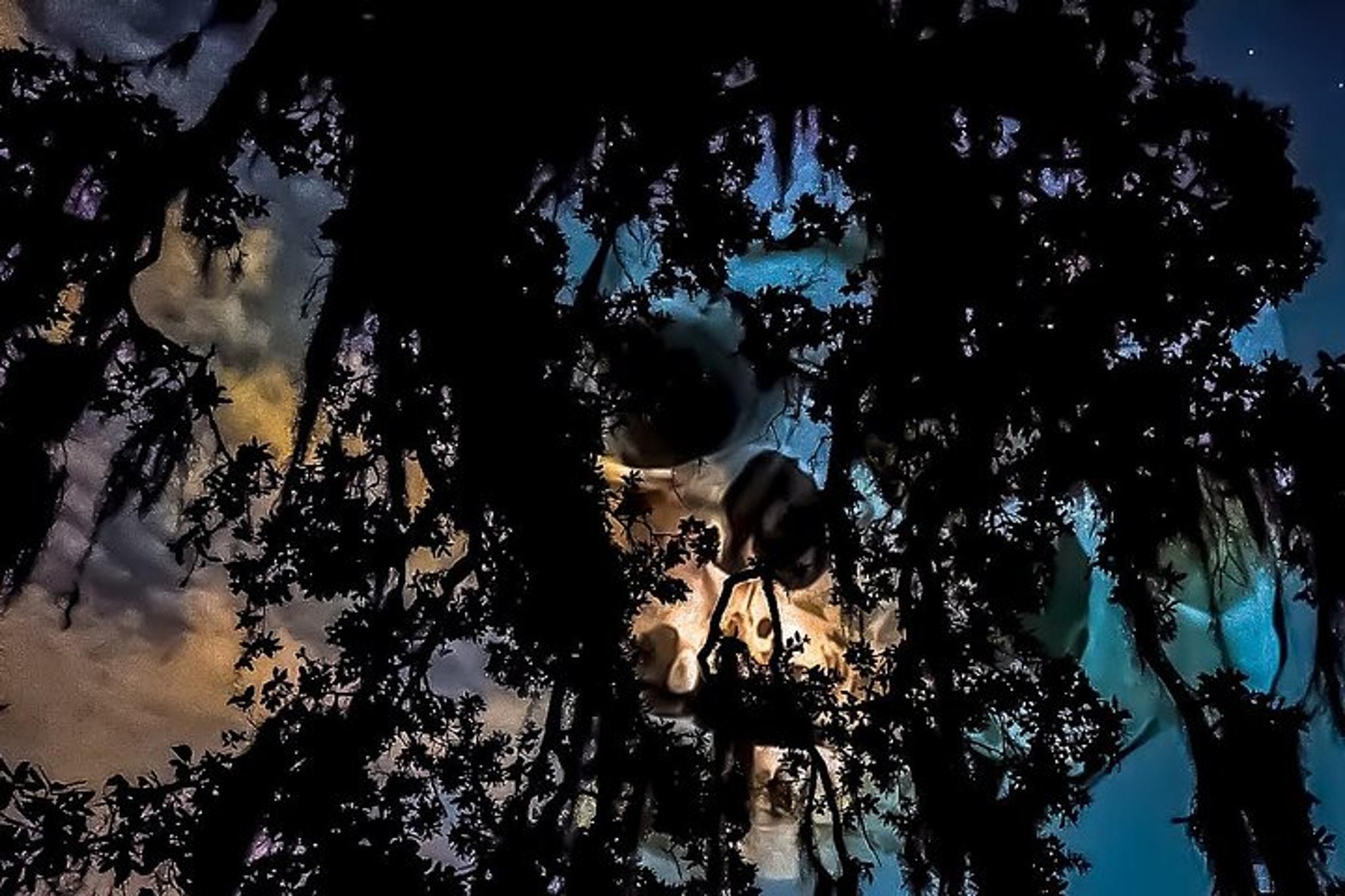 New Orleans True Crime Walking Tour - Image 3