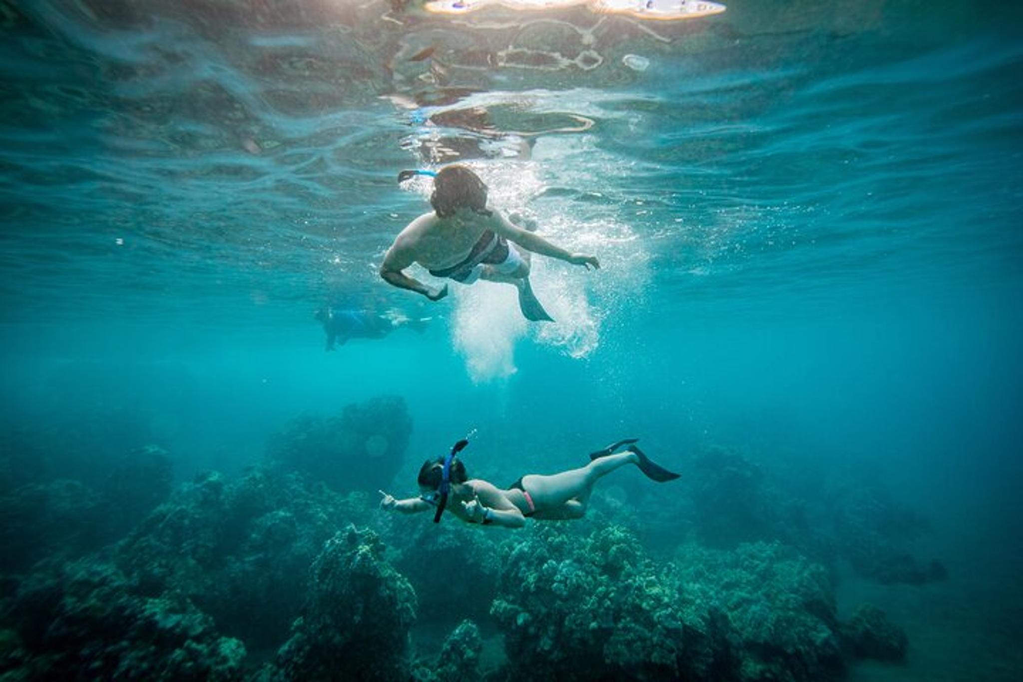 Lahaina Snorkel with Turtles at Mala Wharf 90 min - Image 3
