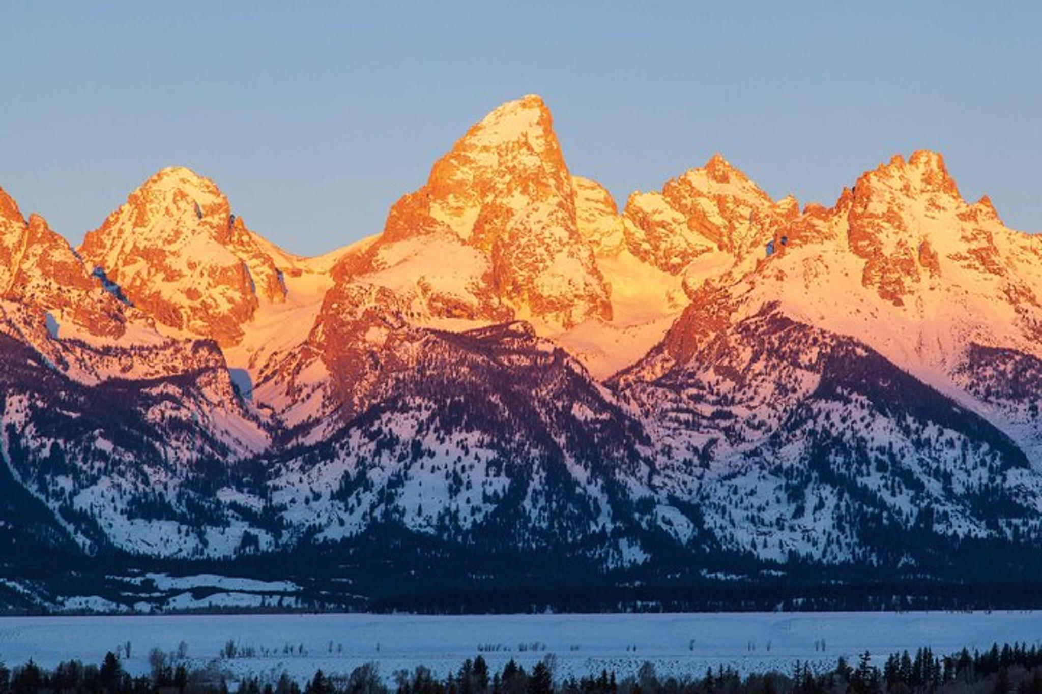 Jackson Hole Wildlife Safari Tour - Image 5
