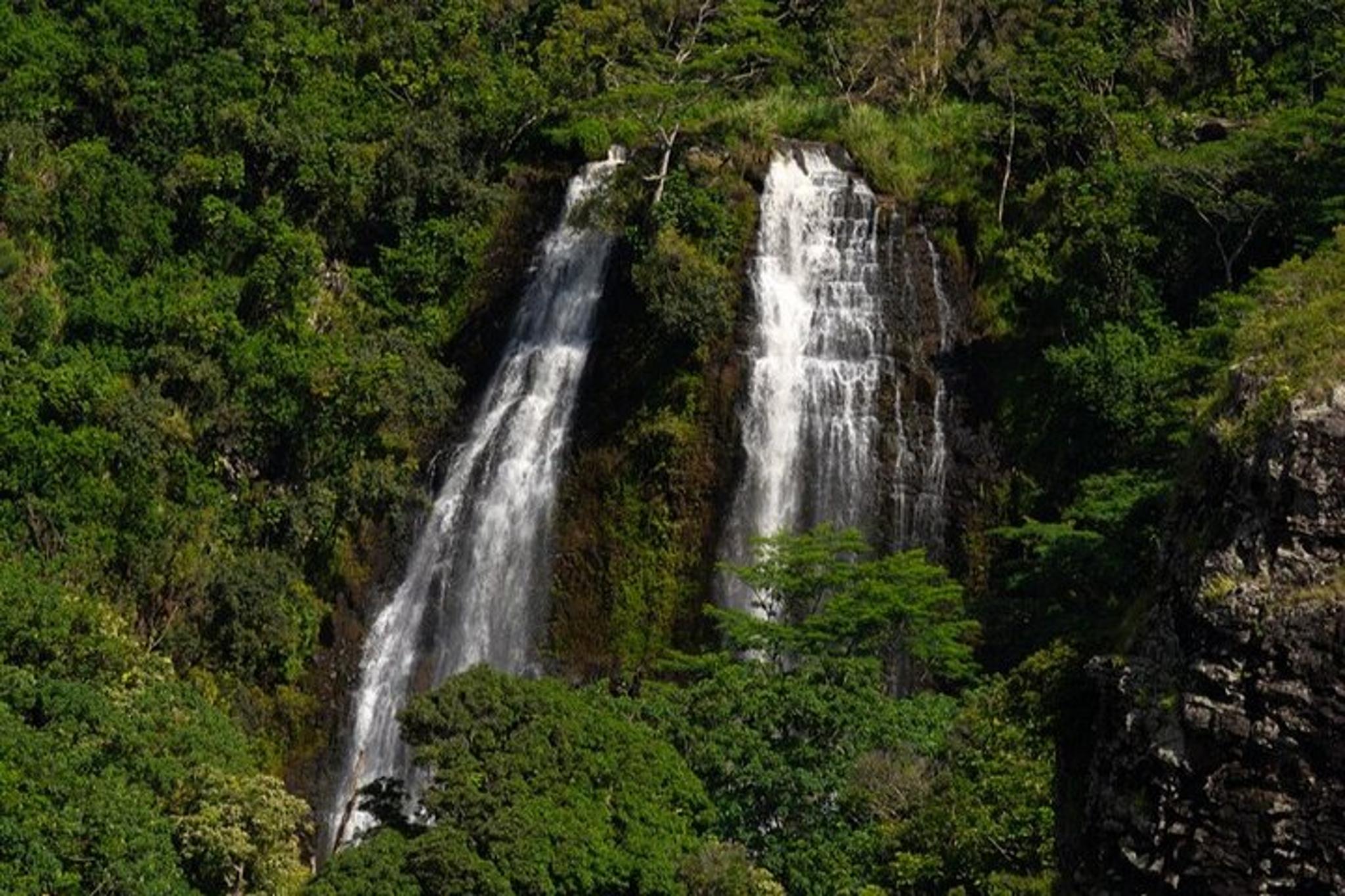 Kauai Waterfalls and Beach Tour 3 hr - Image 2