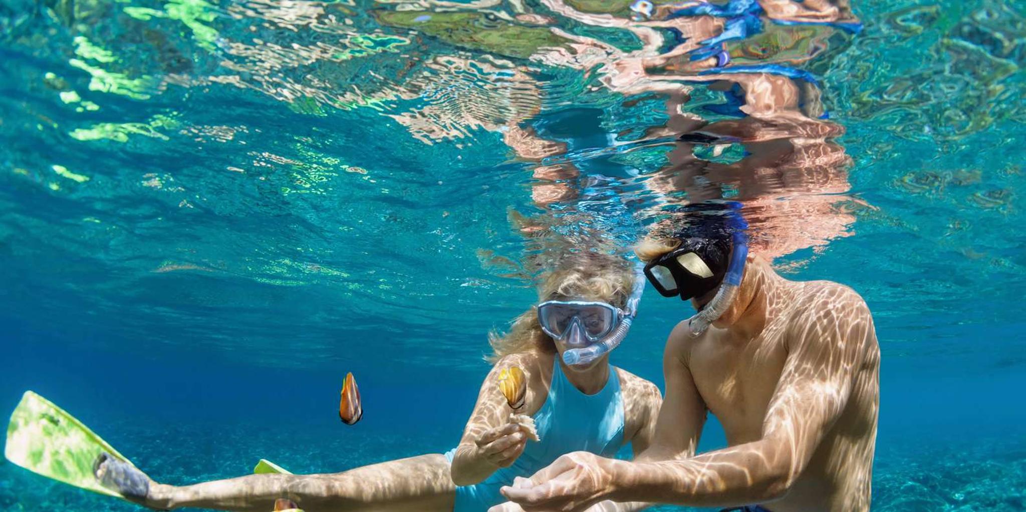 Kailua Kona Snorkeling Tour in Kealakekua Bay - Image 2