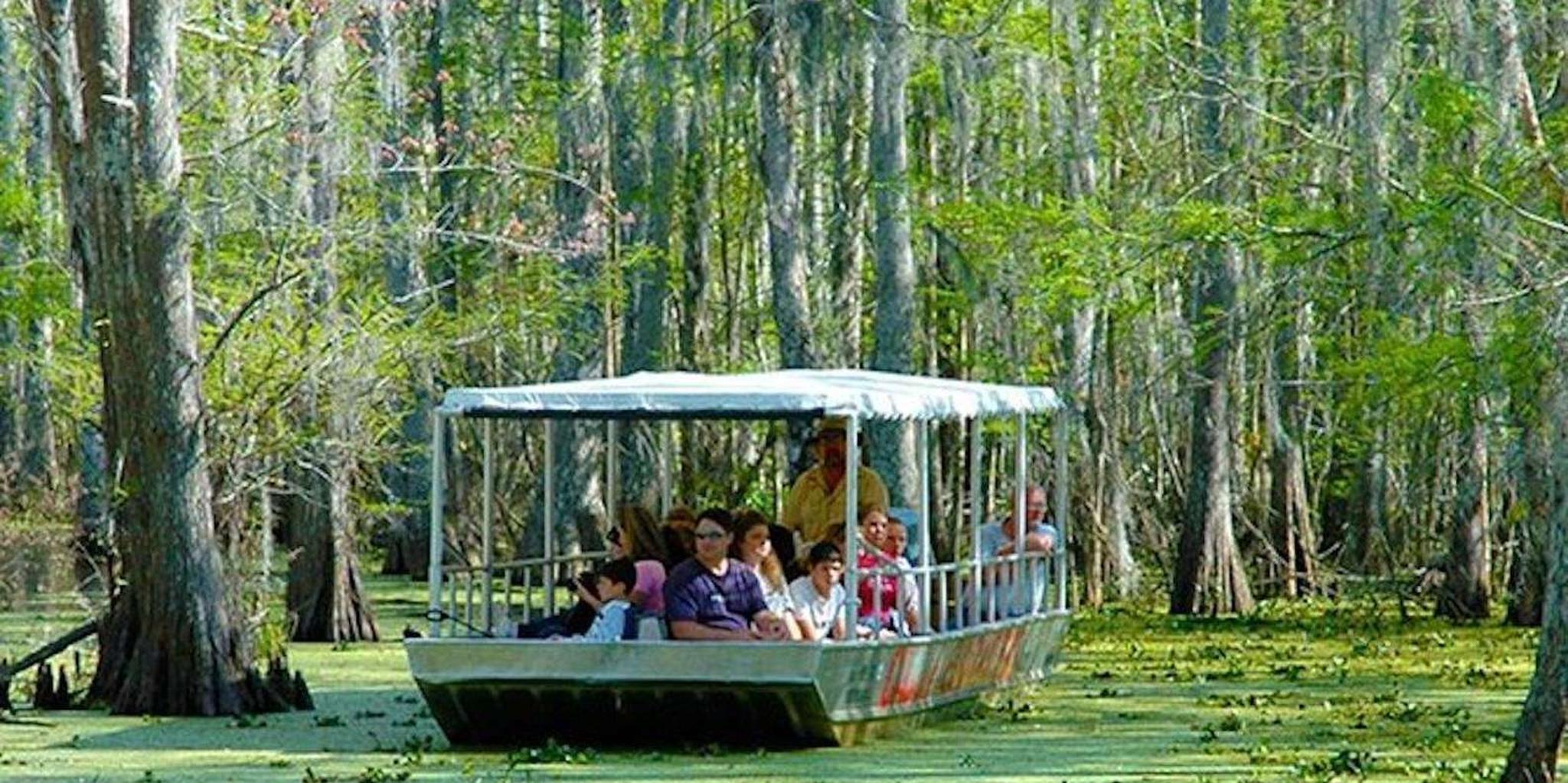 New Orleans Swamp and Bayou Boat Tour - Image 6