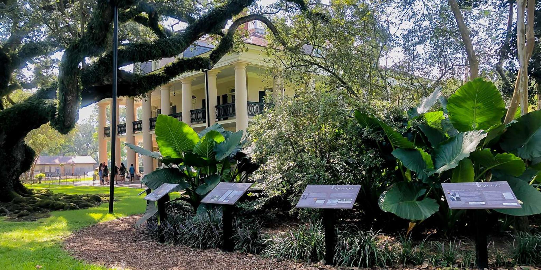 New Orleans Oak Alley Plantation Tour with Transportation - Image 5