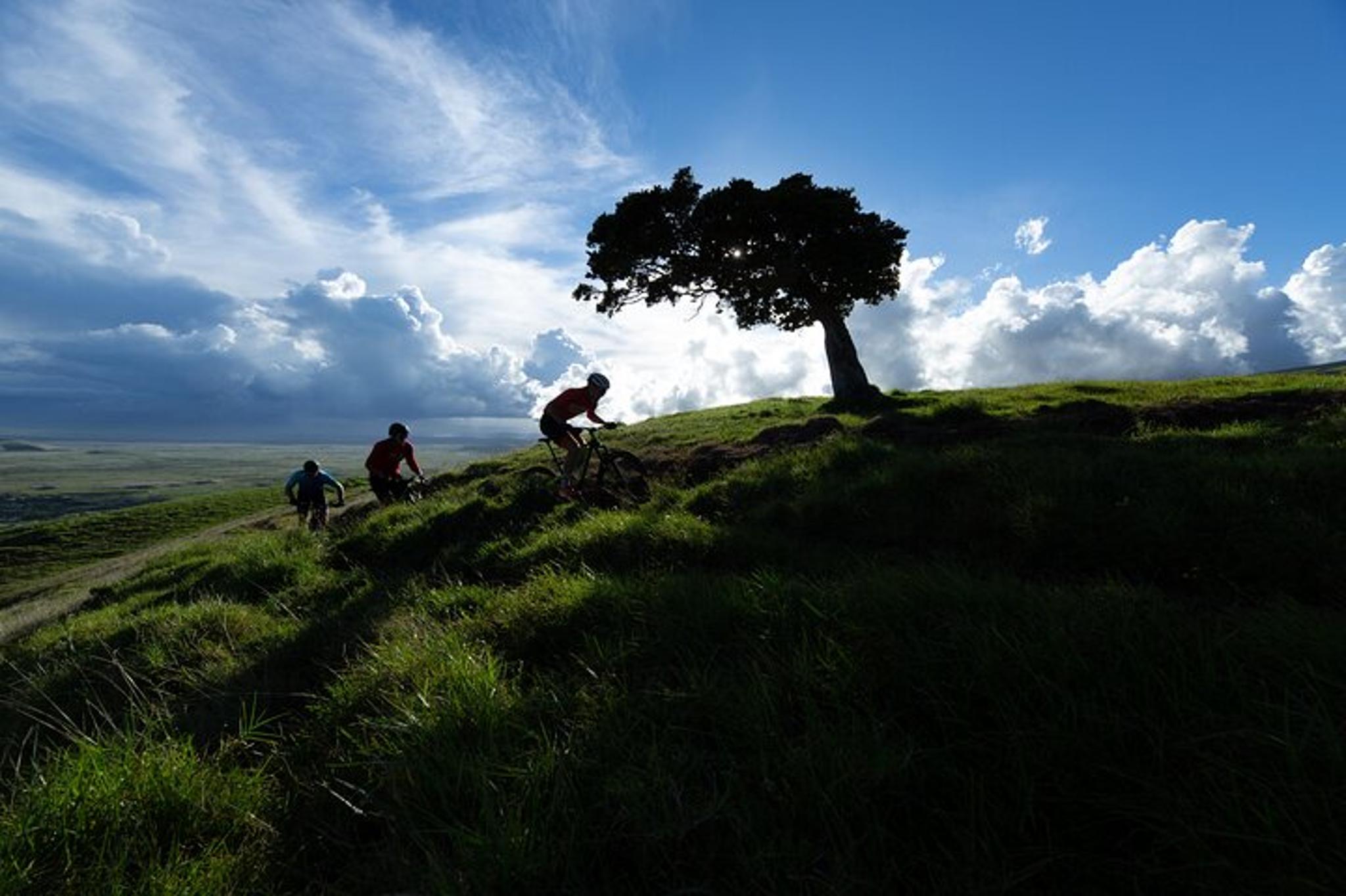 Waimea E-Mountain Bike Tour at Anna Ranch - Image 2