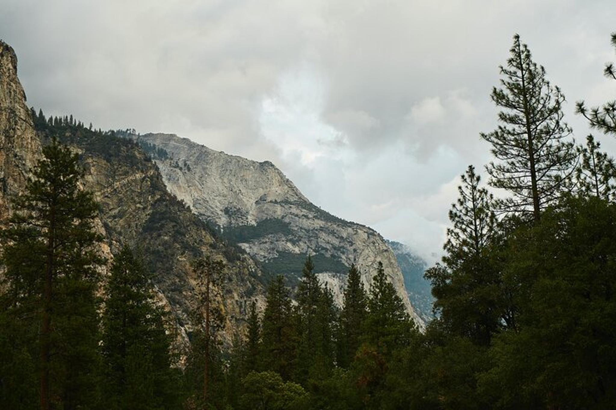 Kings Canyon Private Tour and Hike - Image 4