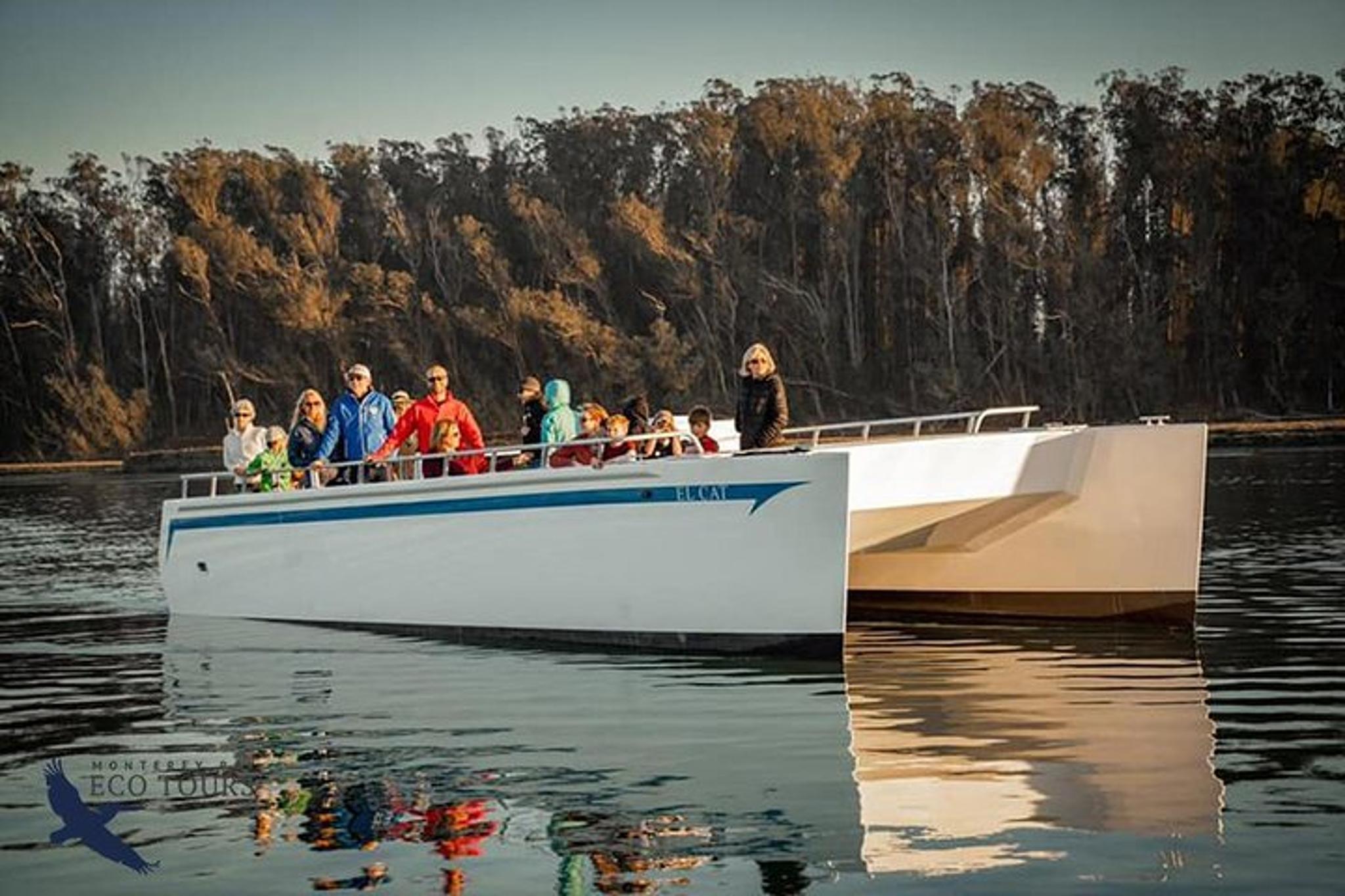 Monterey Elkhorn Slough Wildlife Tour 90 min