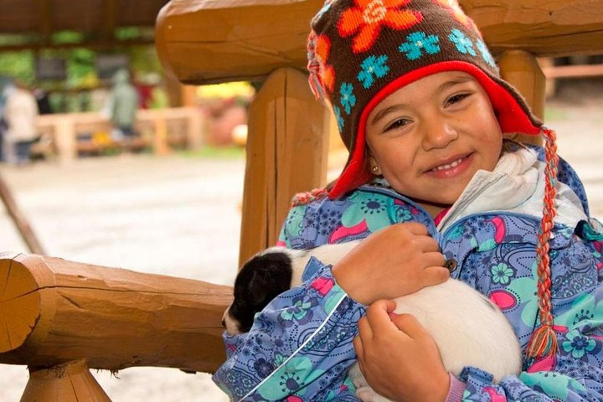 Skagway Musher's Camp and S'More Roasting - Image 4