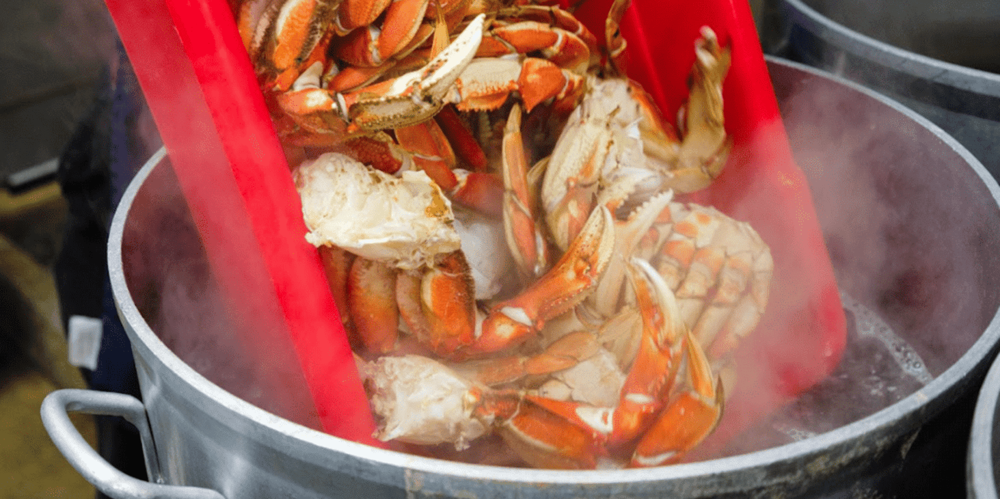 Ketchikan Crab Feast Lunch at George Inlet Lodge