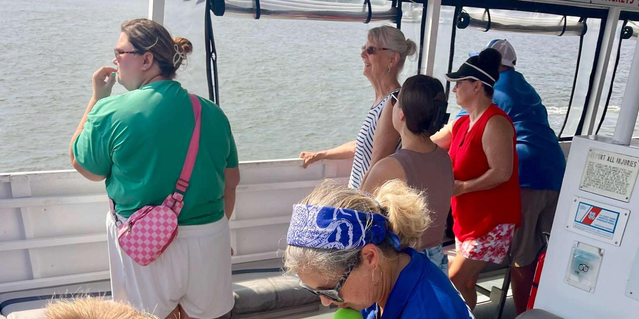 St. Augustine Dolphin and Wildlife Eco Adventure - Image 2