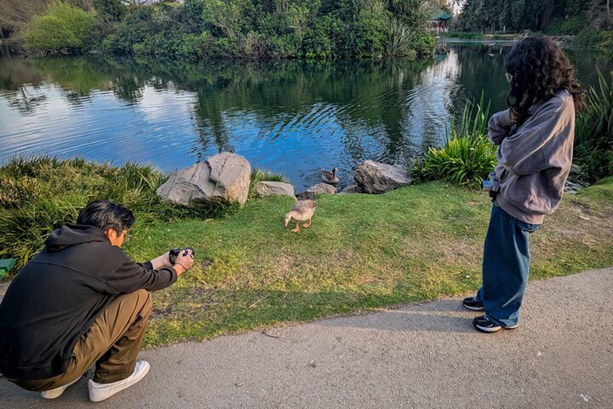 San Francisco Wildlife Walking Tour at Twilight - Image 4