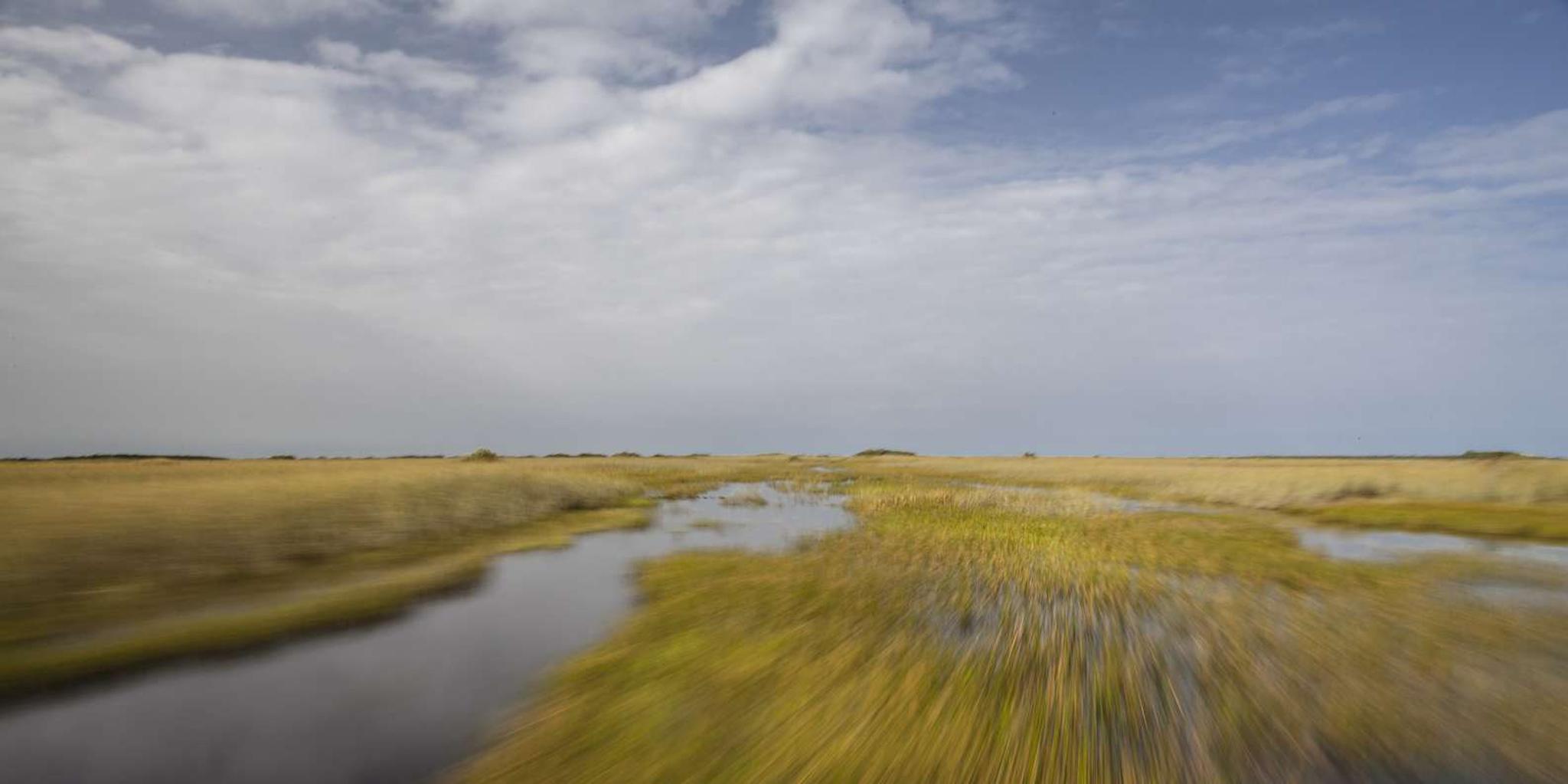 Fort Lauderdale Everglades Safari with Airboat and Cruise - Image 4