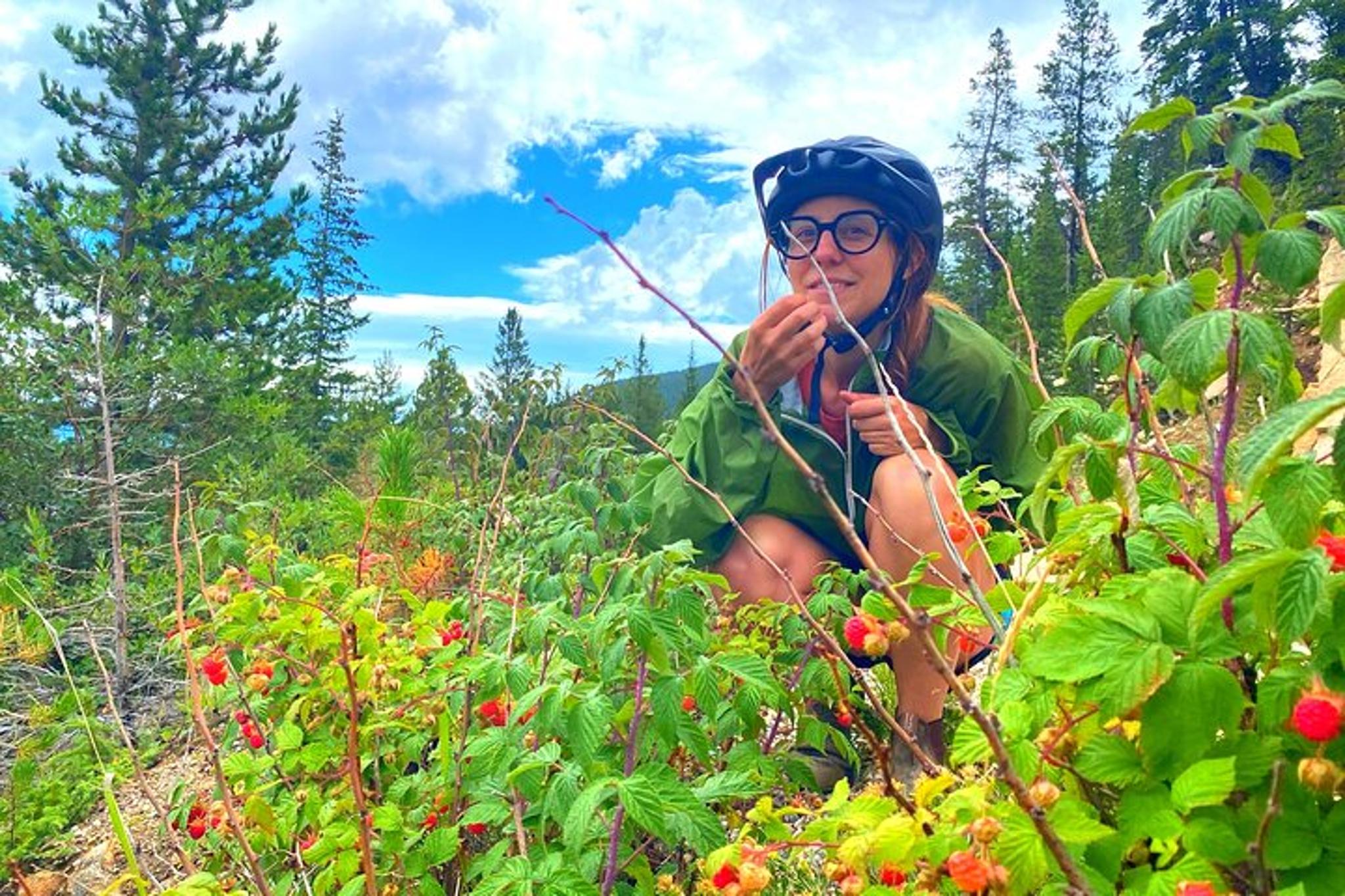 Denver E-Bike Tour in the Rockies 7 hr - Image 3