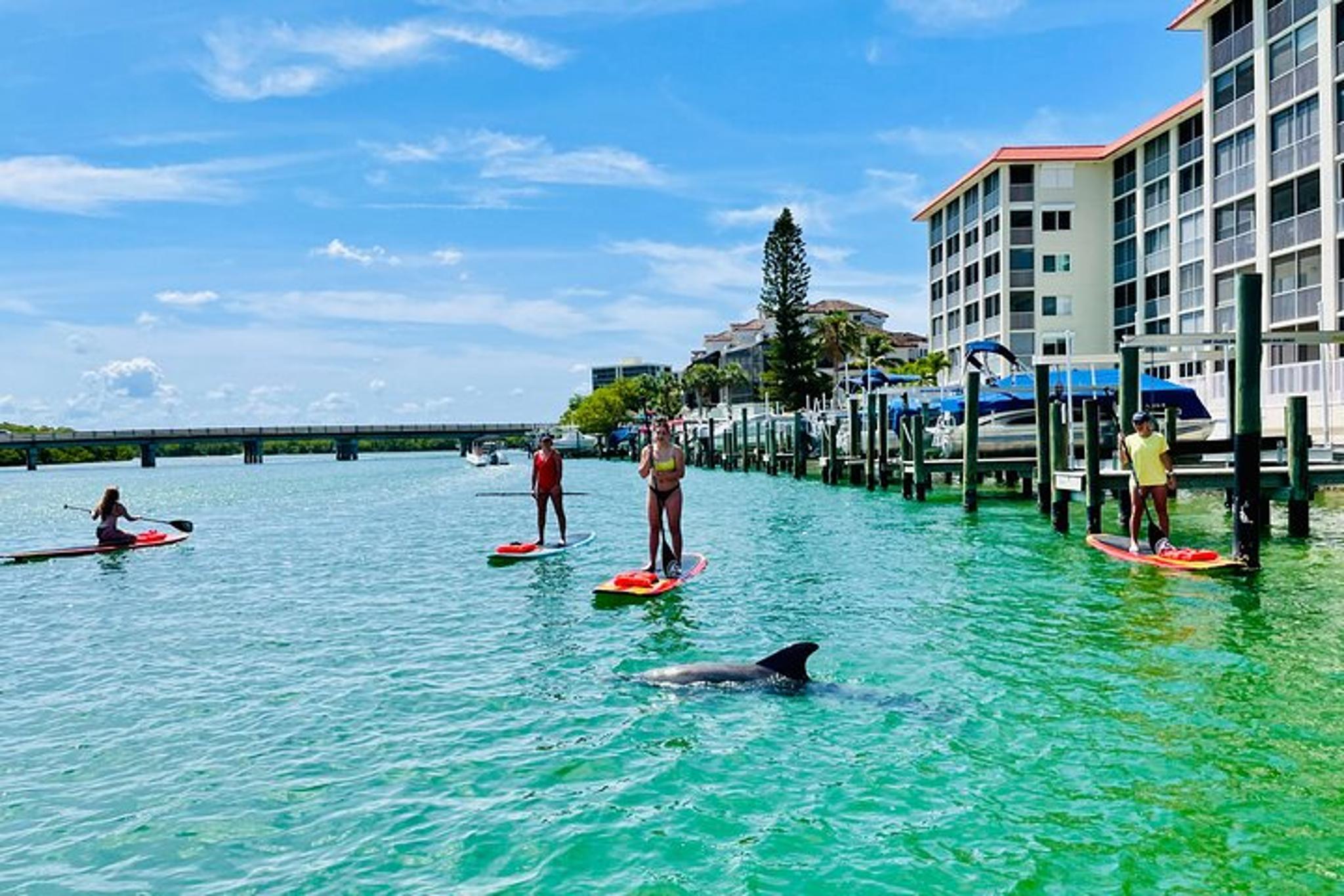 Fort Myers Dolphin and Manatee Adventure Tour 2 hr - Image 4
