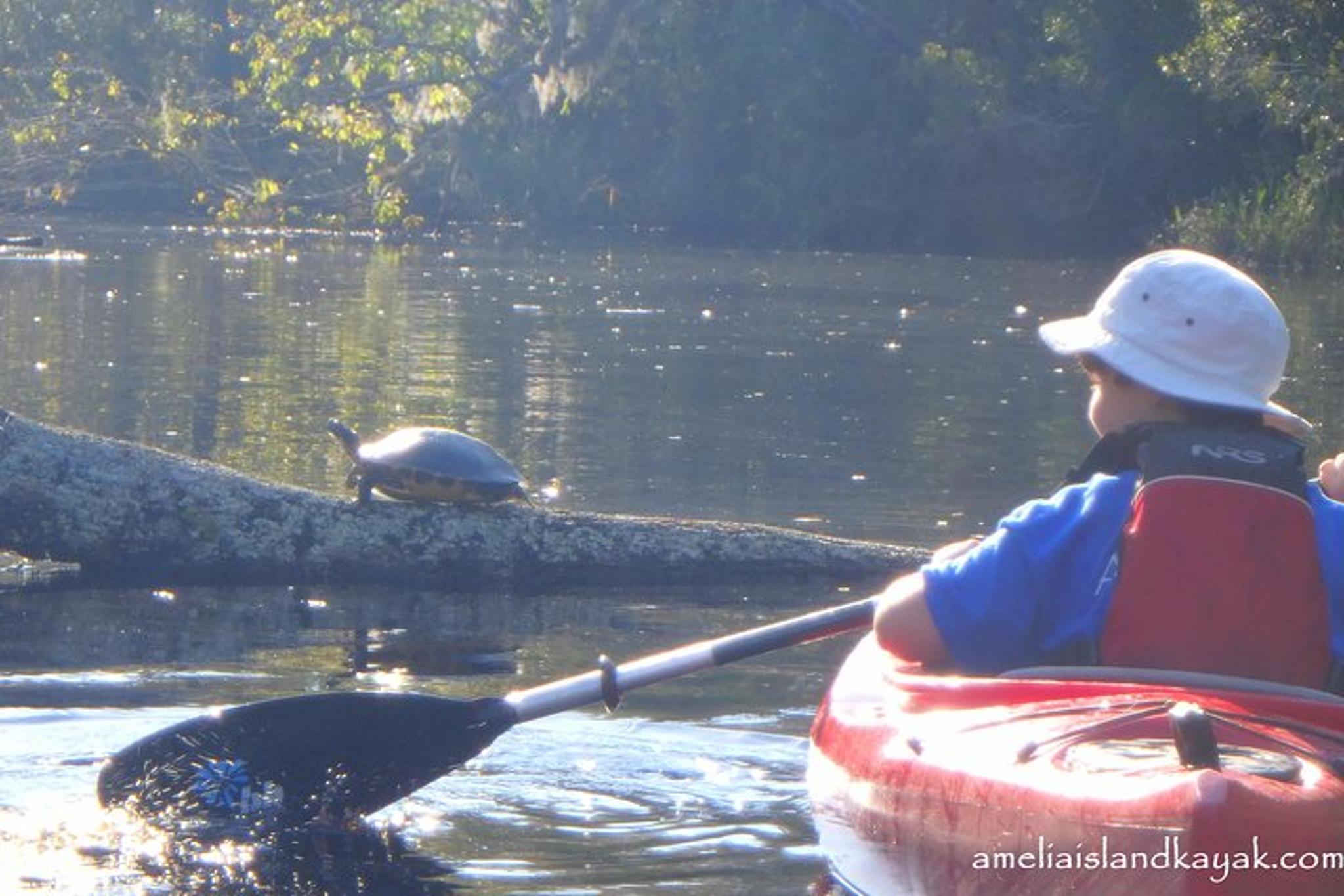Amelia Island Kayak Rental Experience - Image 4