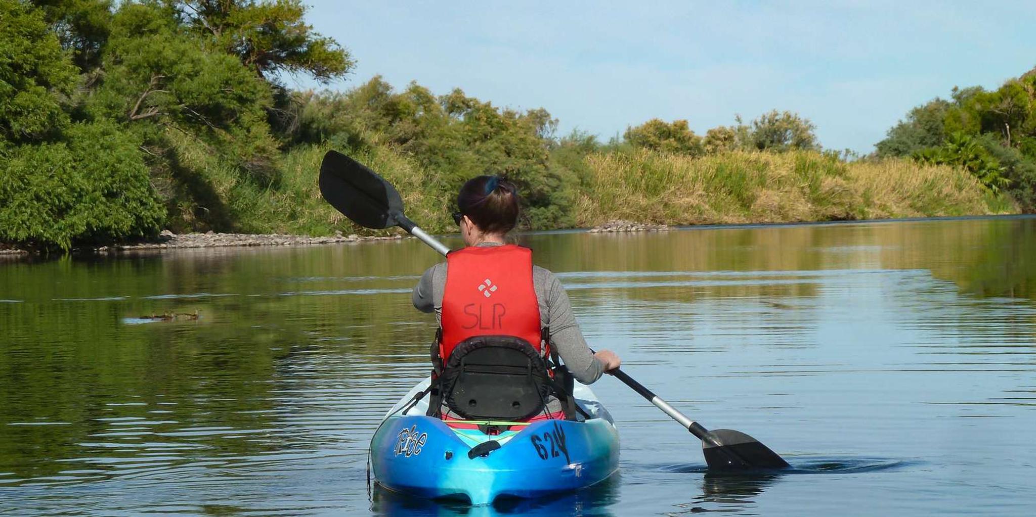 Phoenix Kayaking Trip to Foxtail - 2 hr - Image 3