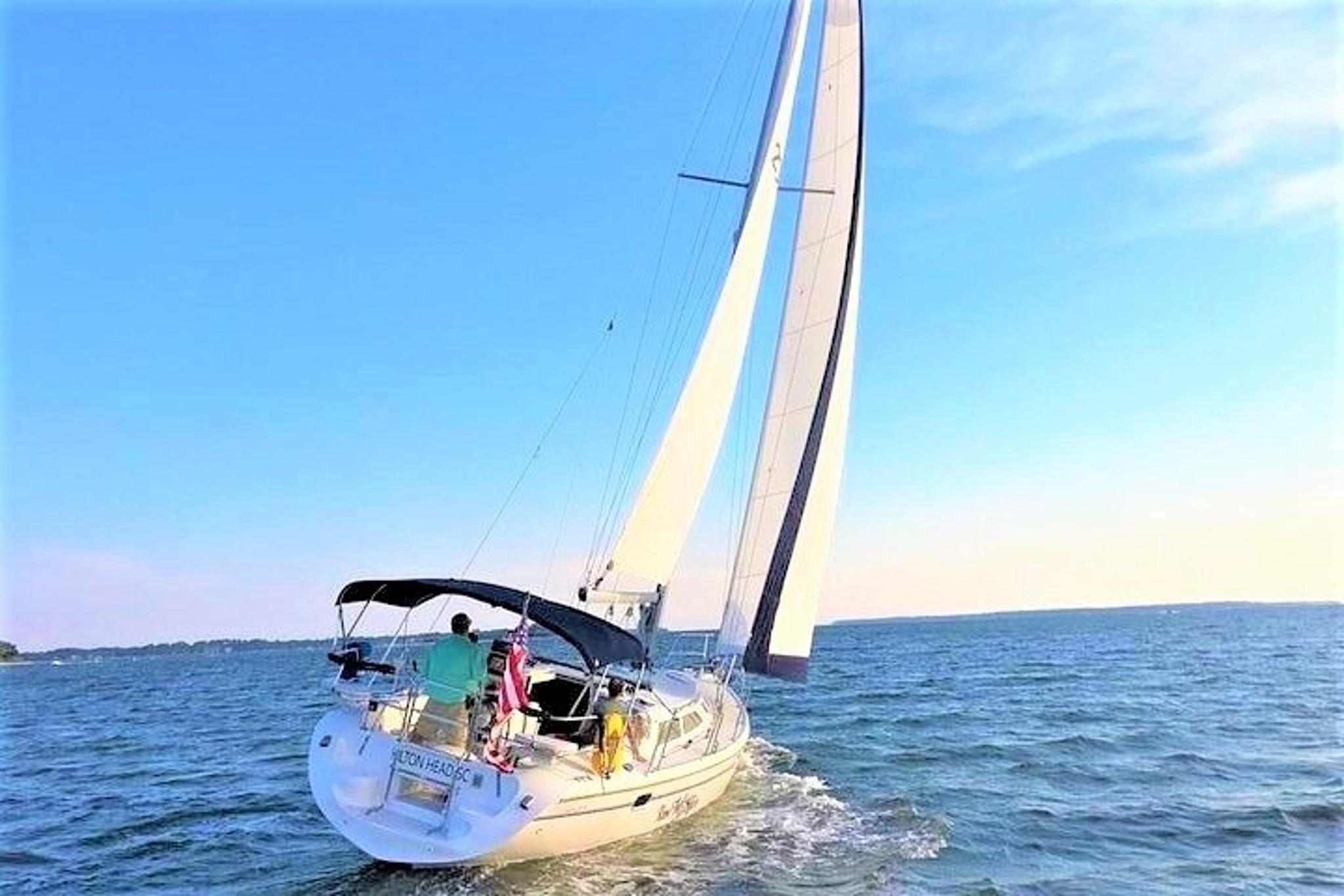 Hilton Head Dolphin Watching Sail - Image 2