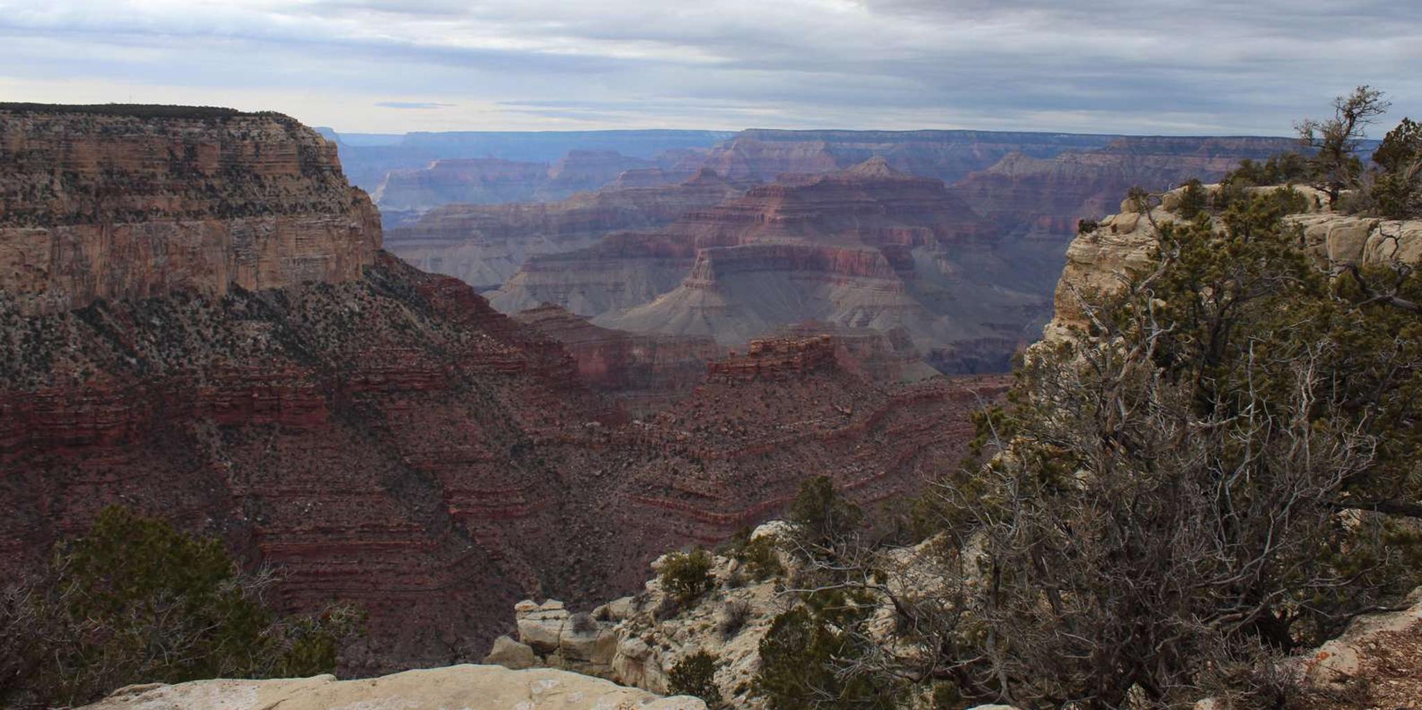 Grand Canyon Horseback Ride and South Rim Bus Tour - Image 2