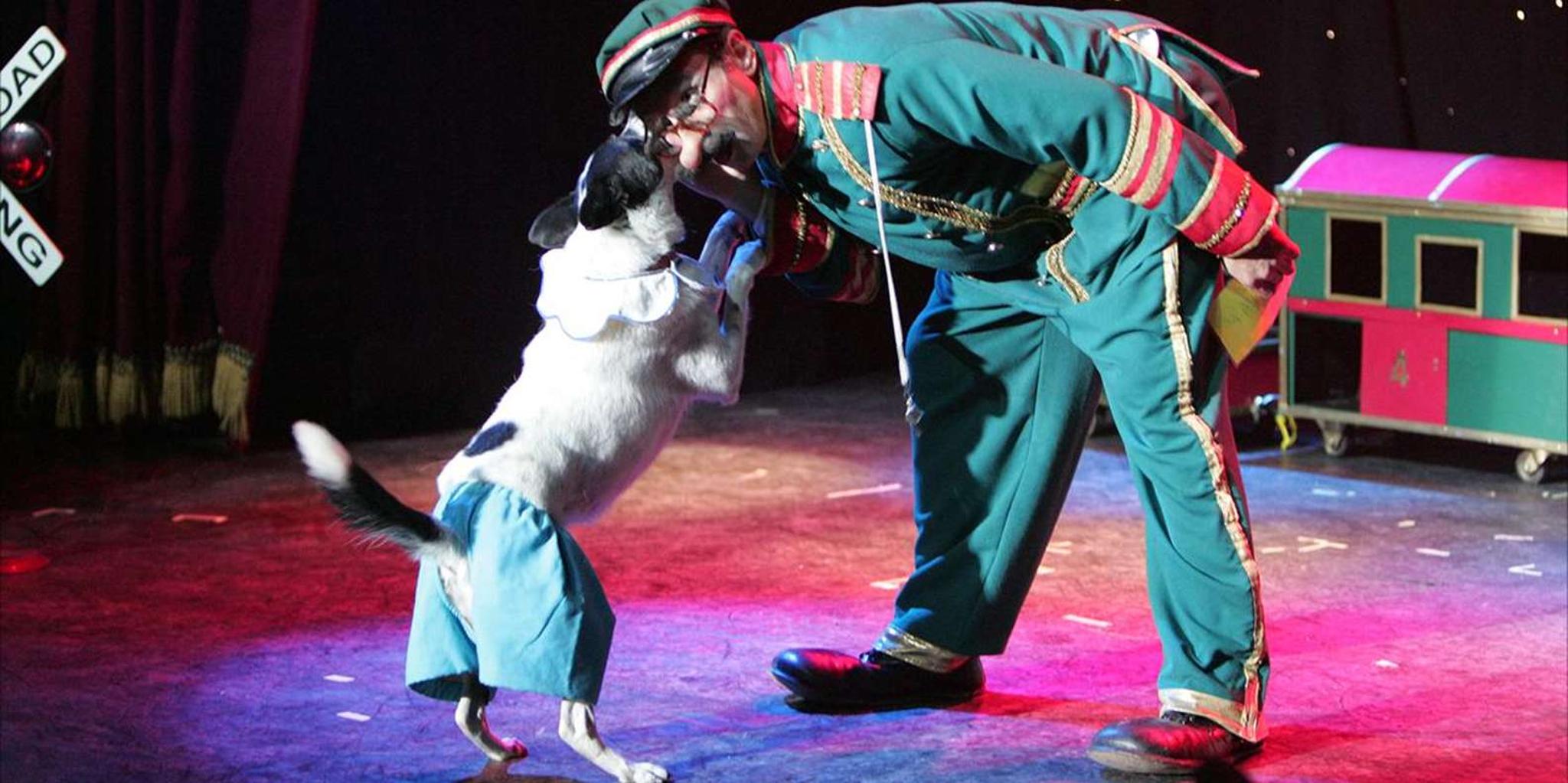 Las Vegas Comedy Pet Theater - Image 5