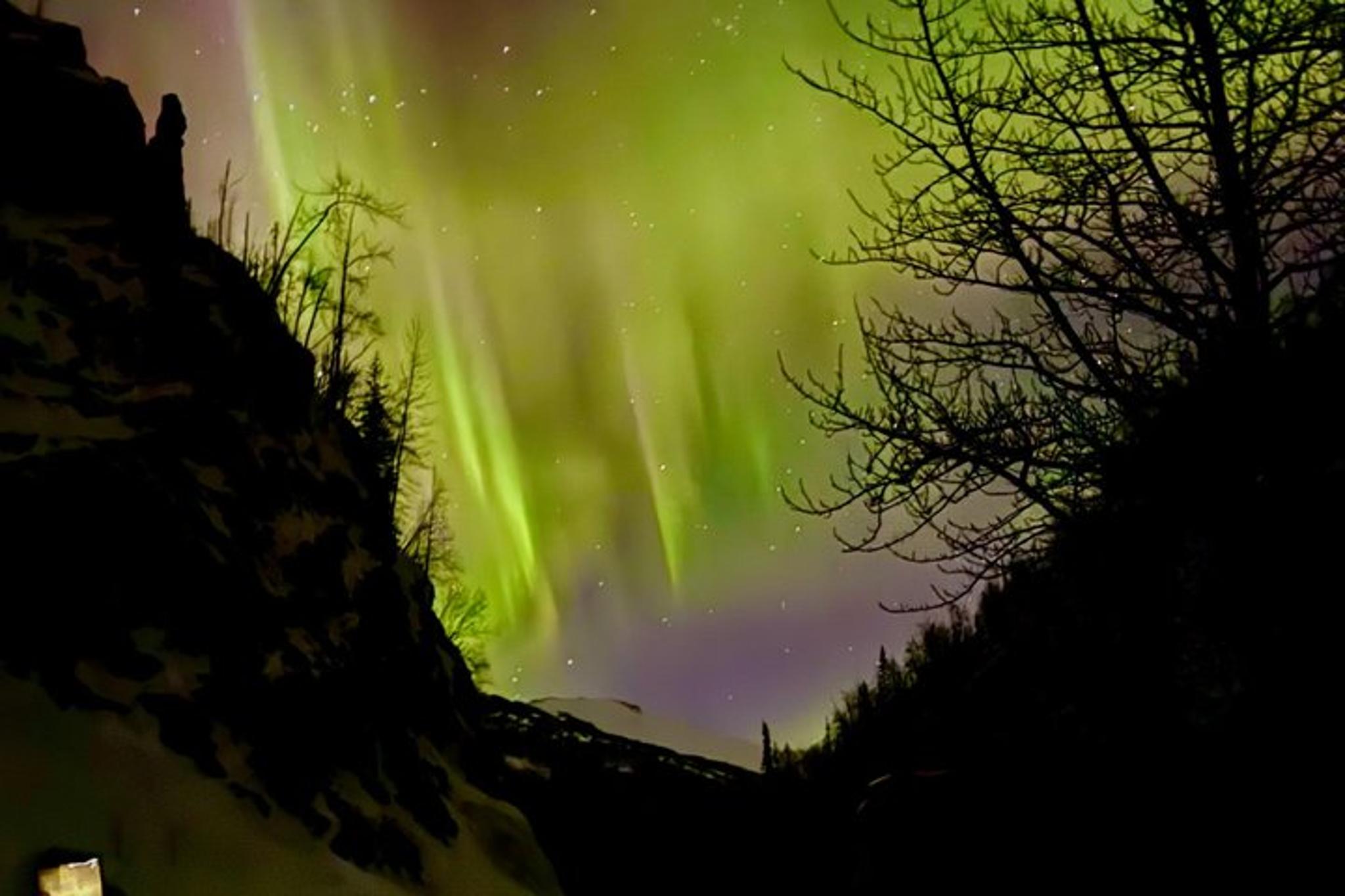 Anchorage Northern Lights Sightseeing Tour - Image 3