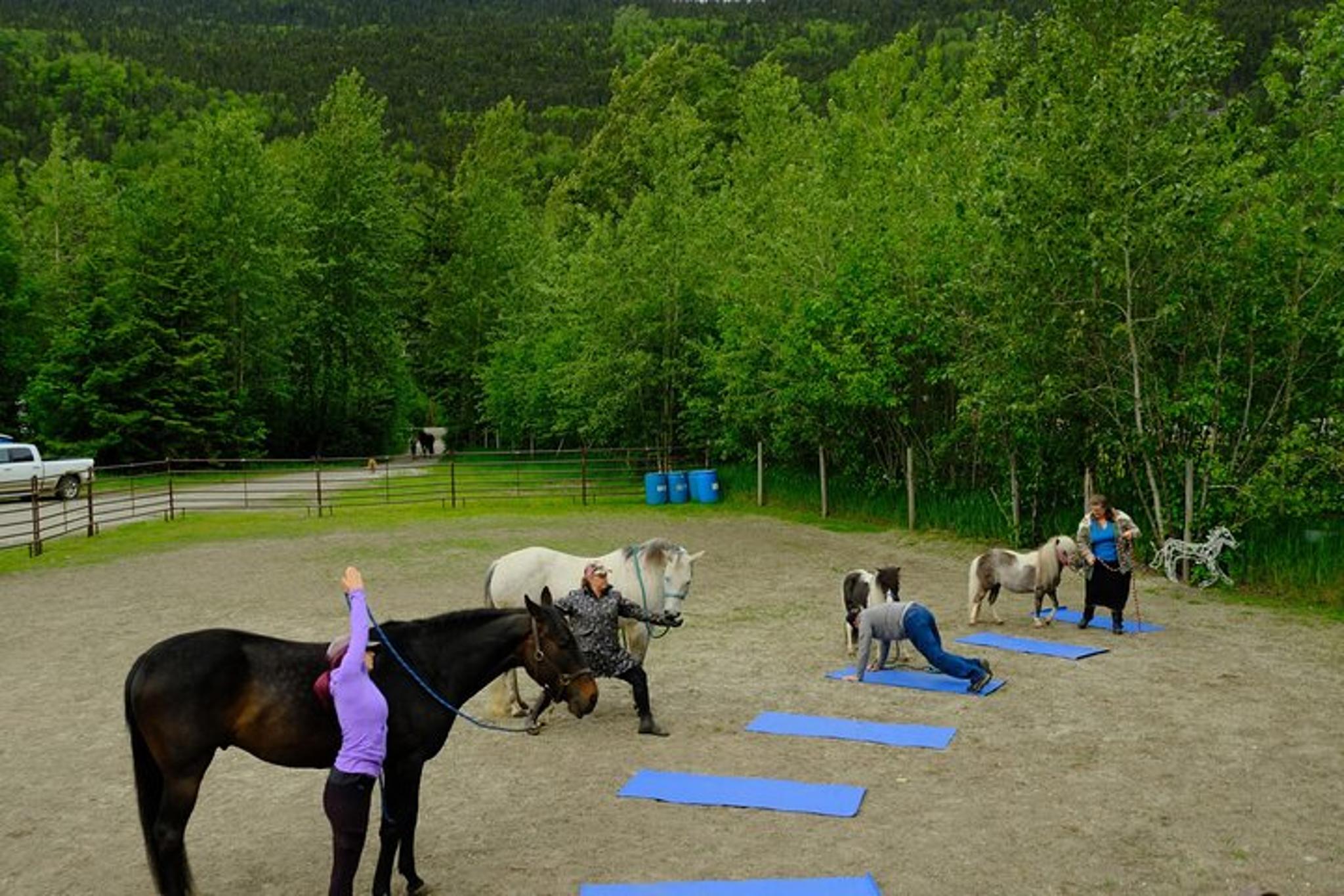 Yoga with Horses 90 min - Image 2