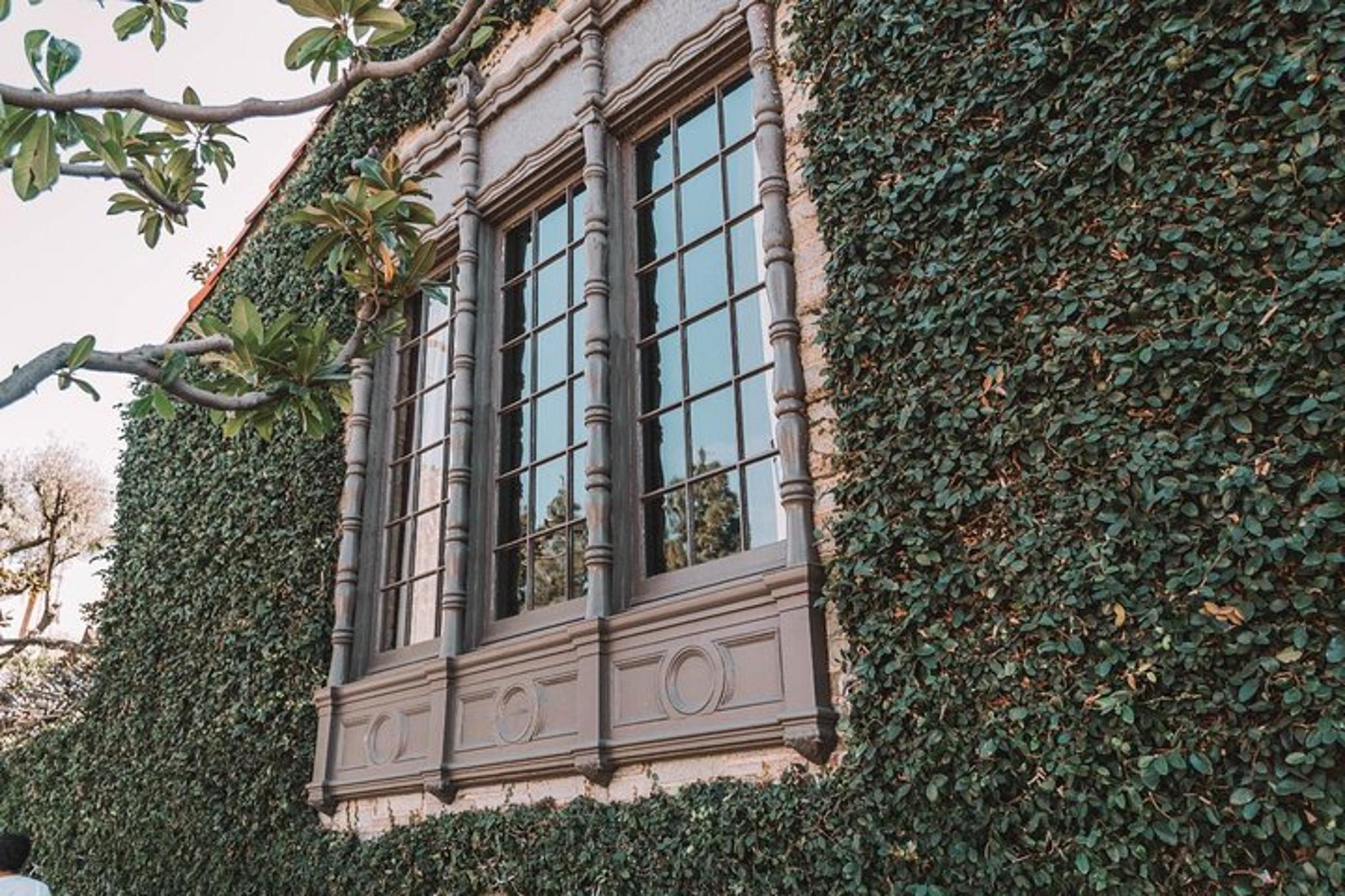 Los Angeles Westwood Self-Guided Tour - Image 6