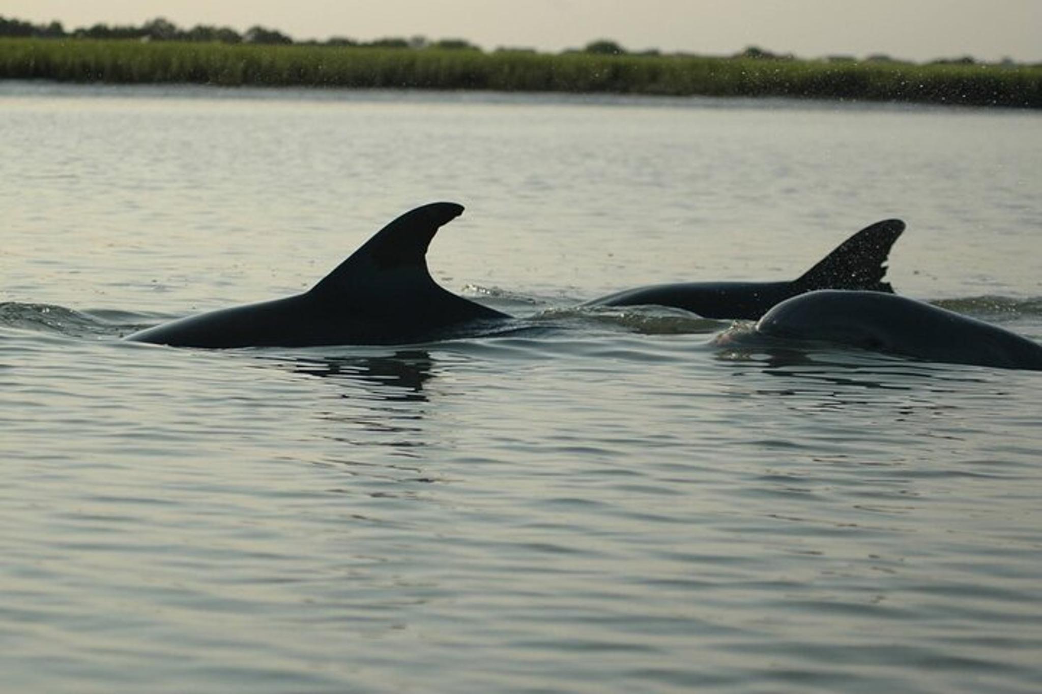 Beaufort Historical Bus and Boat Tour - Image 3