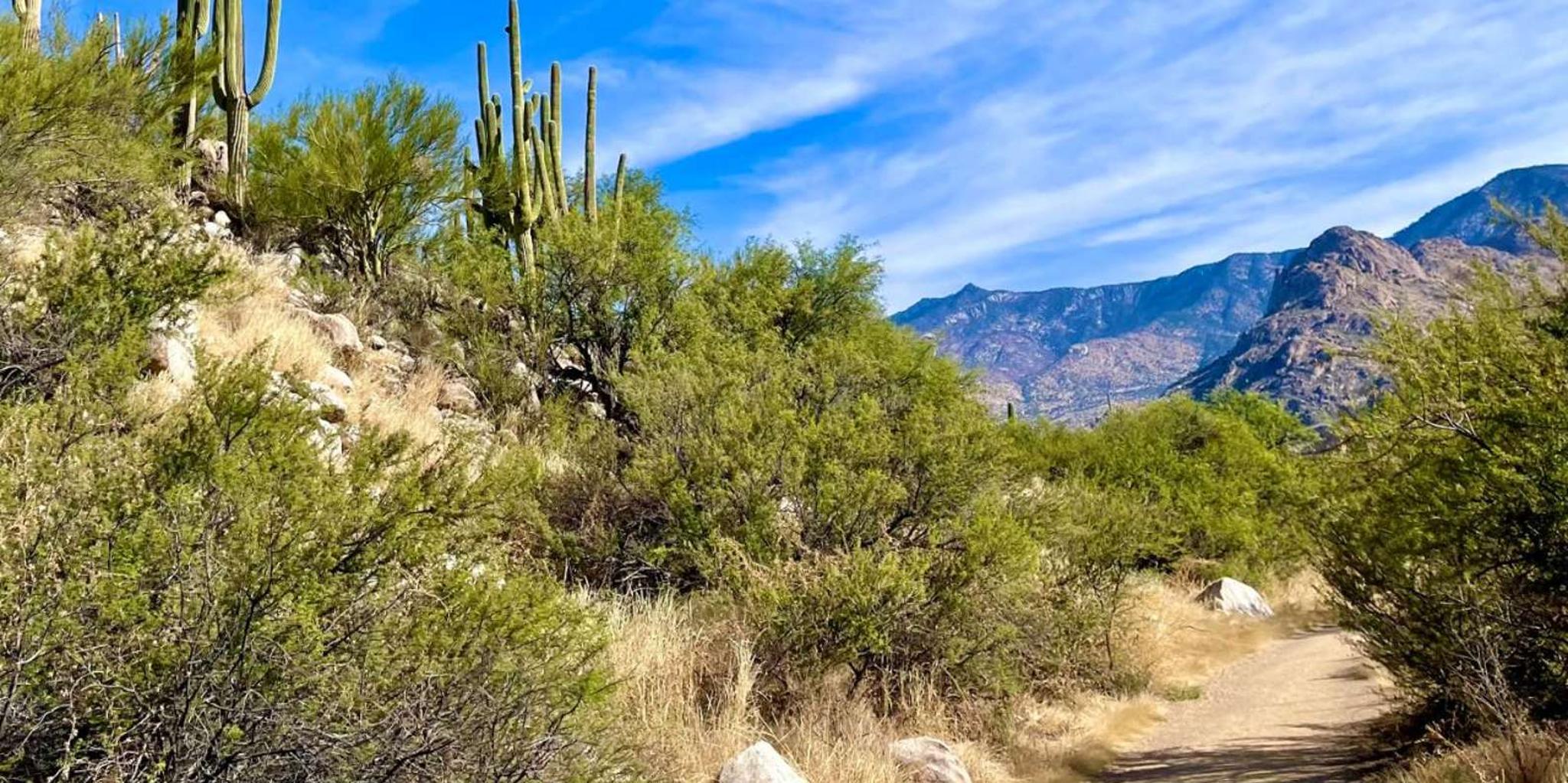 Tucson Horseback Riding Tour at Rancho Cerros - Image 5