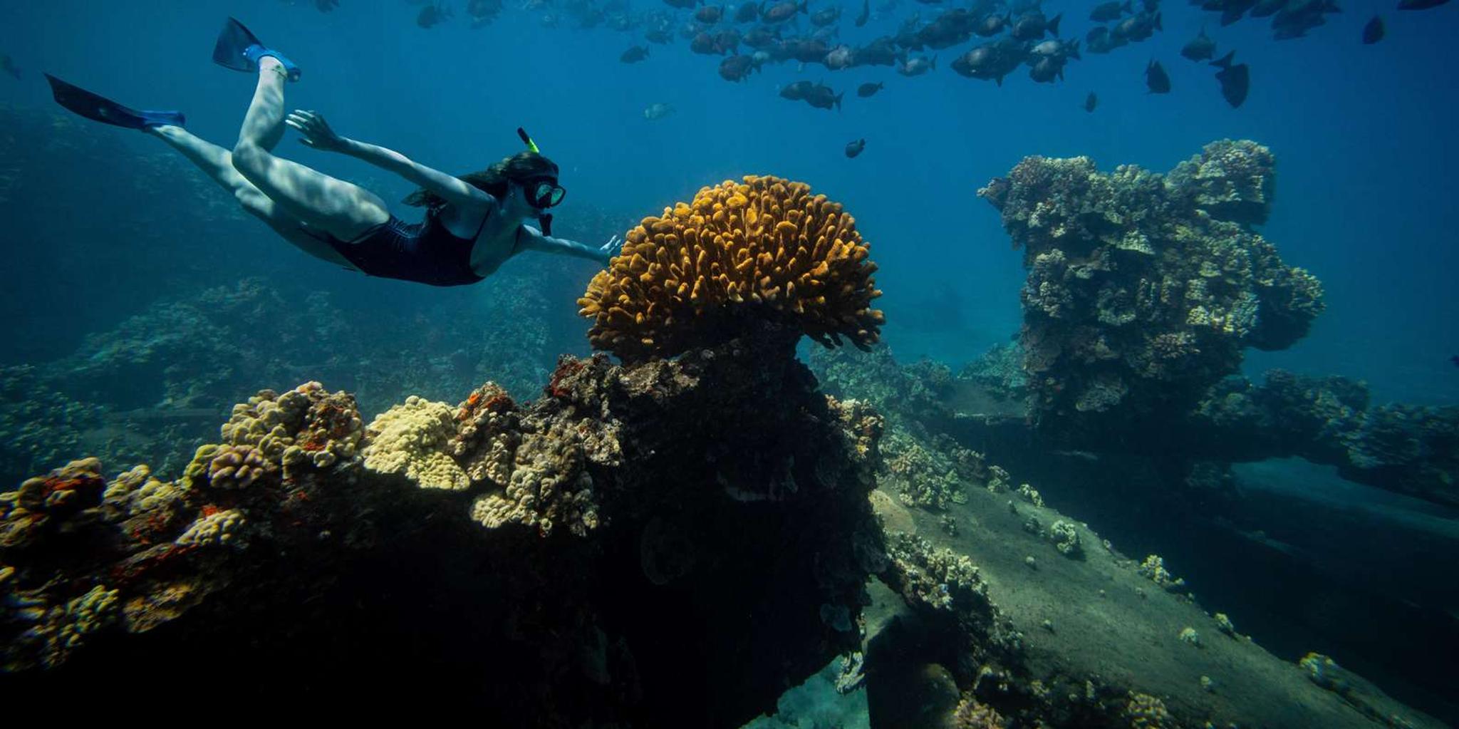 Lahaina Snorkel and Sail to Lāna'i Coast 5 hr - Image 1