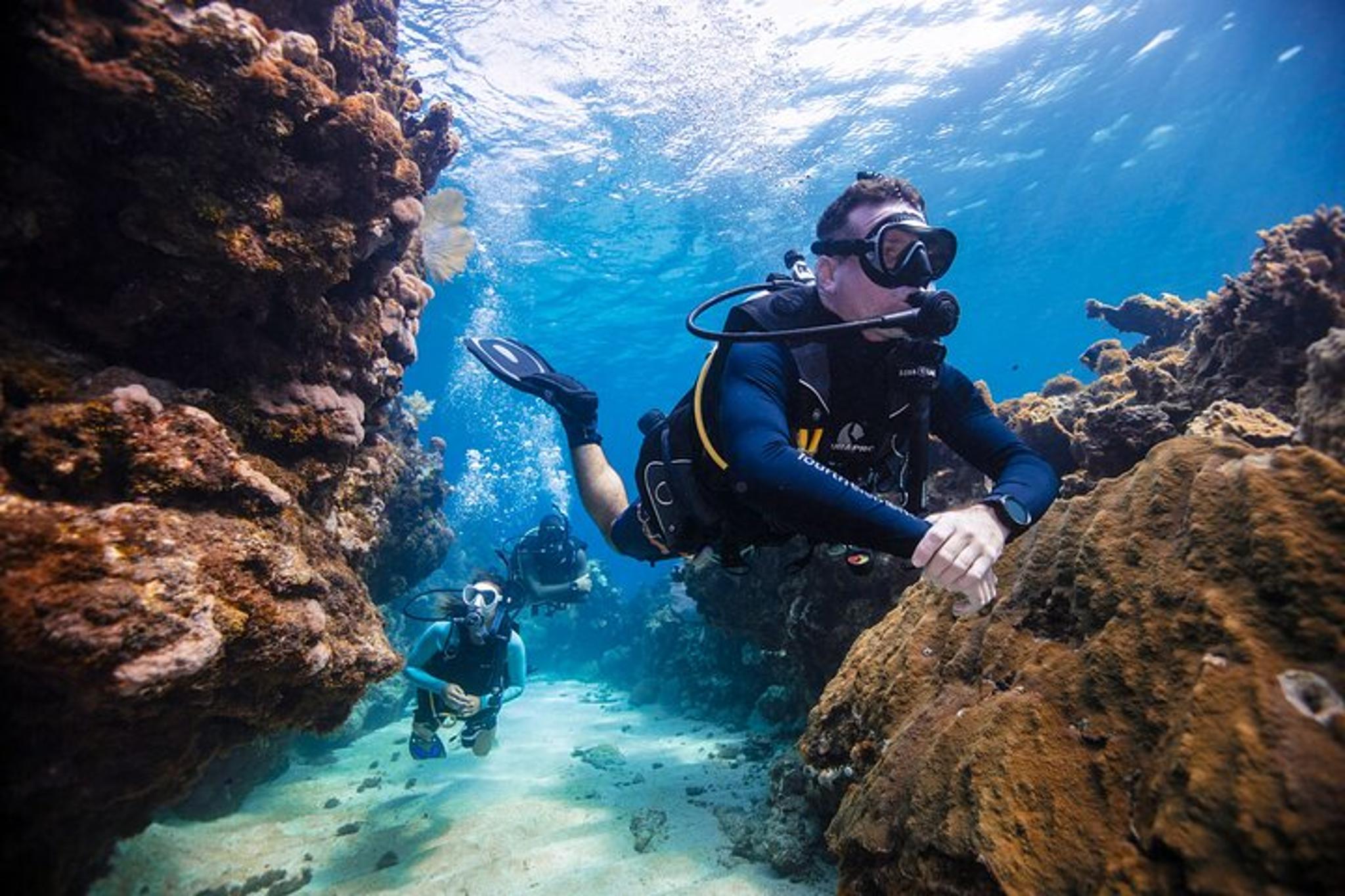 Key Largo Snorkel Tour John Pennekamp State Park 3 hr - Image 4