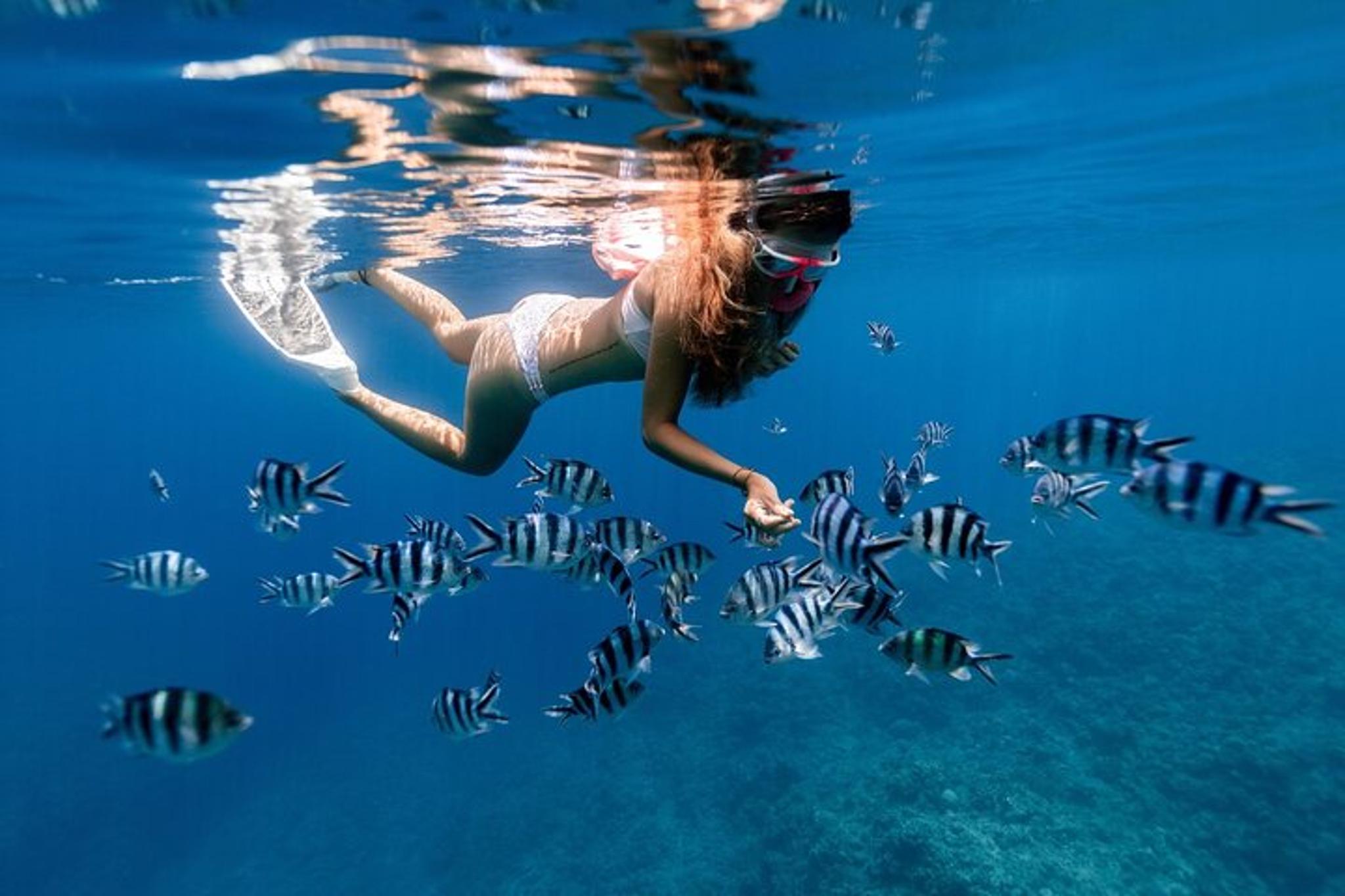 Oahu Snorkeling Tour at Hanauma Bay - Image 1
