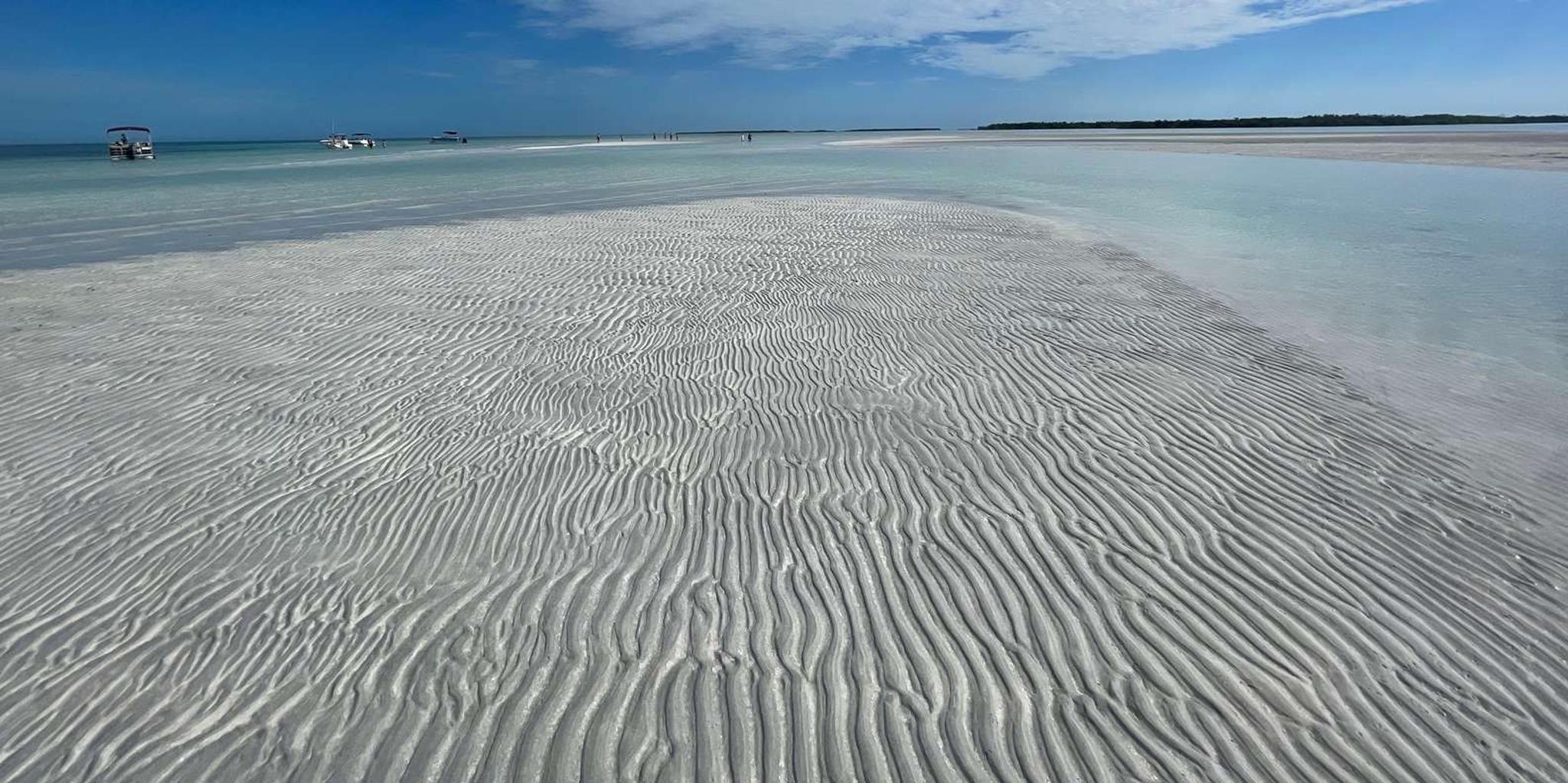 Key West Sandbar Adventure - Image 6