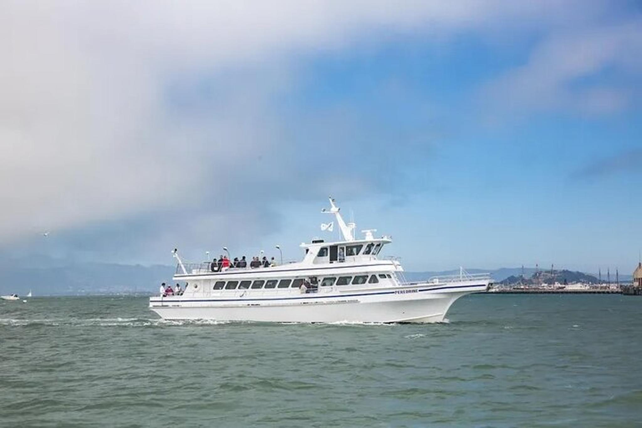 San Diego Fireworks Cruise 90 min - Image 6